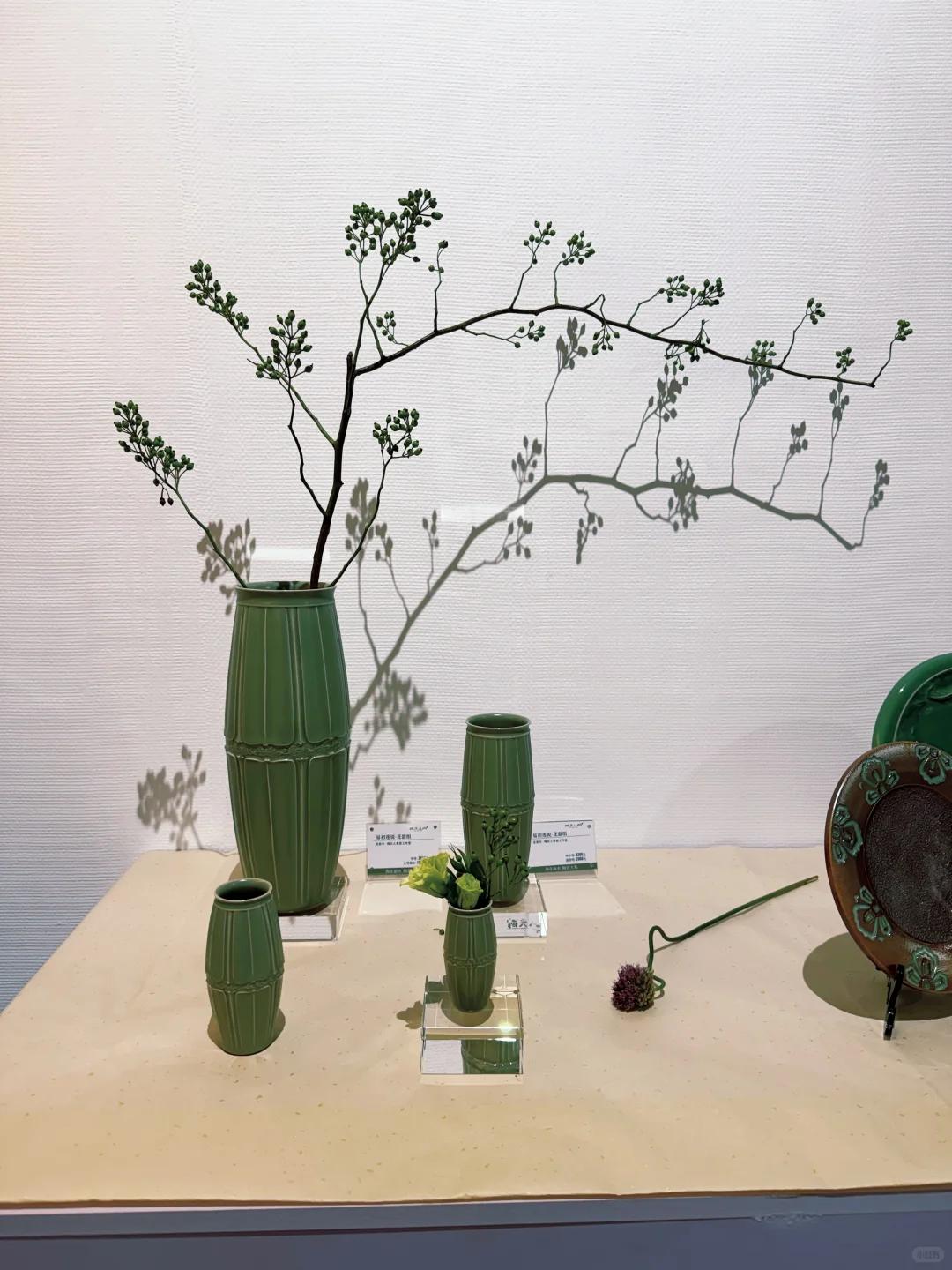限时5天的丽水新展