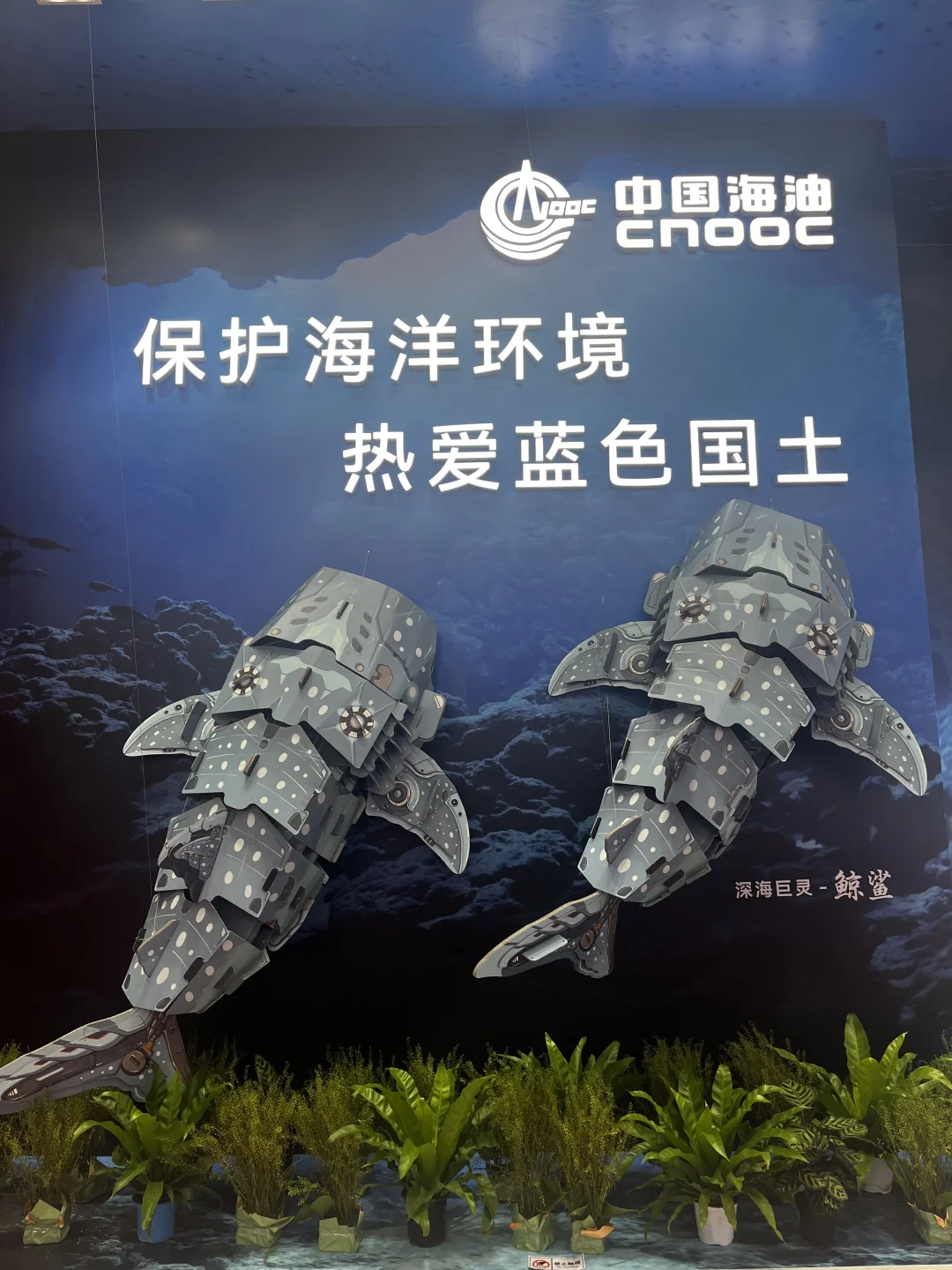 与商界女强人擦肩而过?