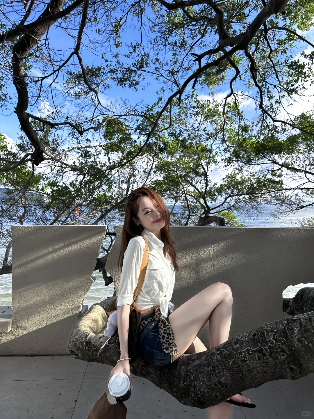 深圳｜??️海岛模式