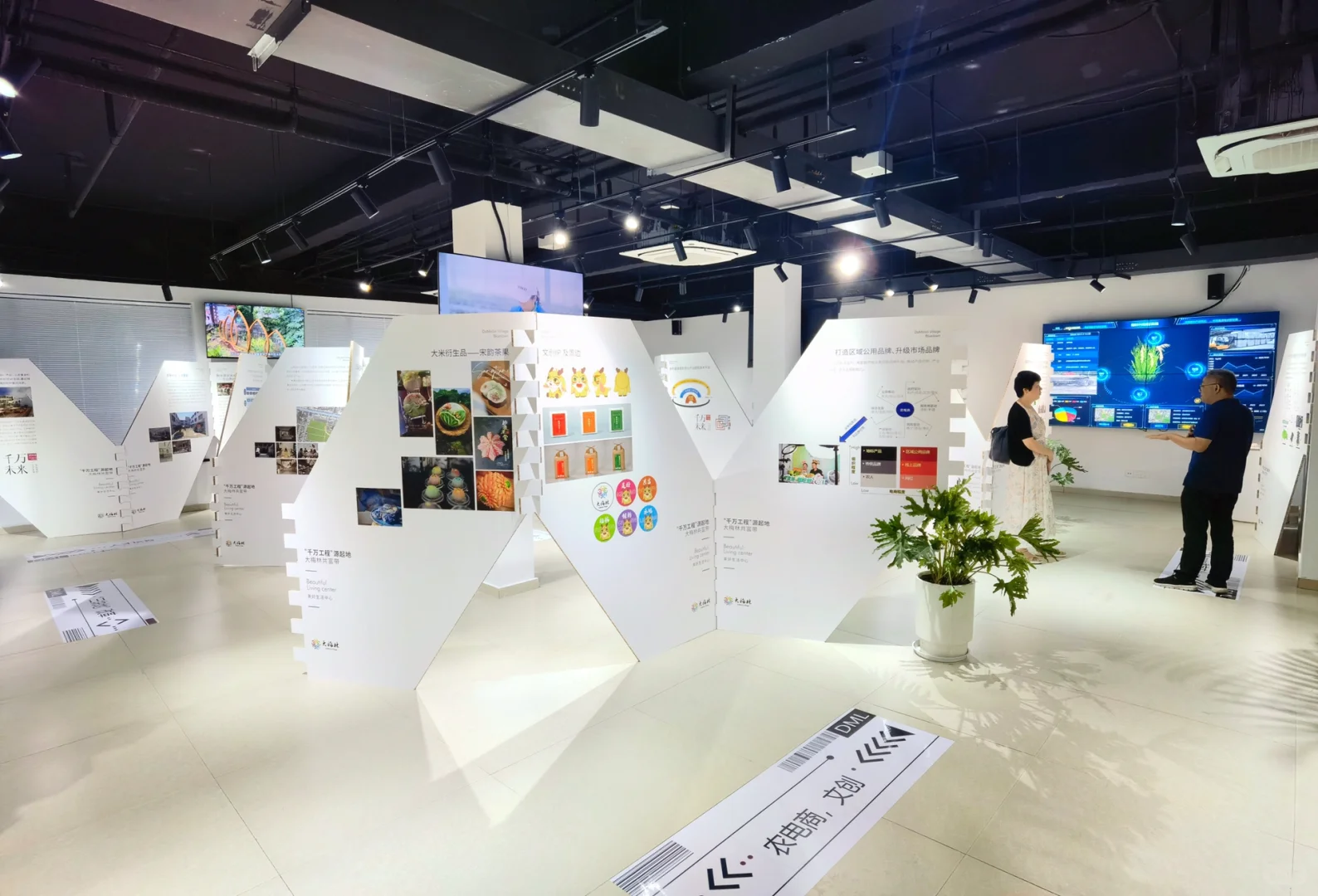 大梅林产业可持续发展“千万工程”特展