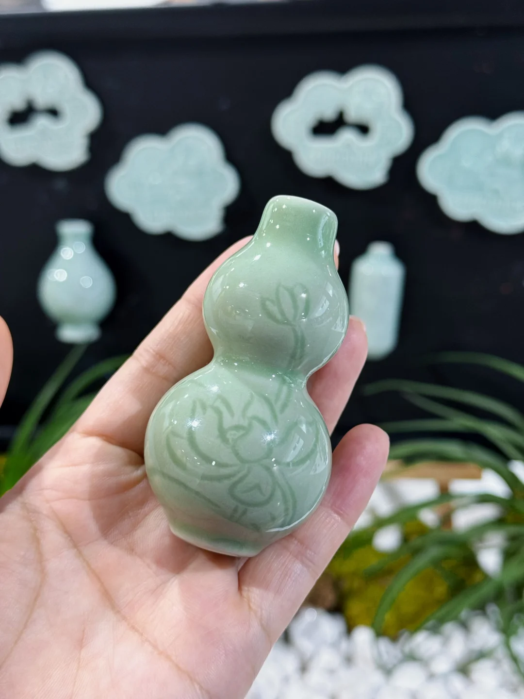 限时5天的丽水新展