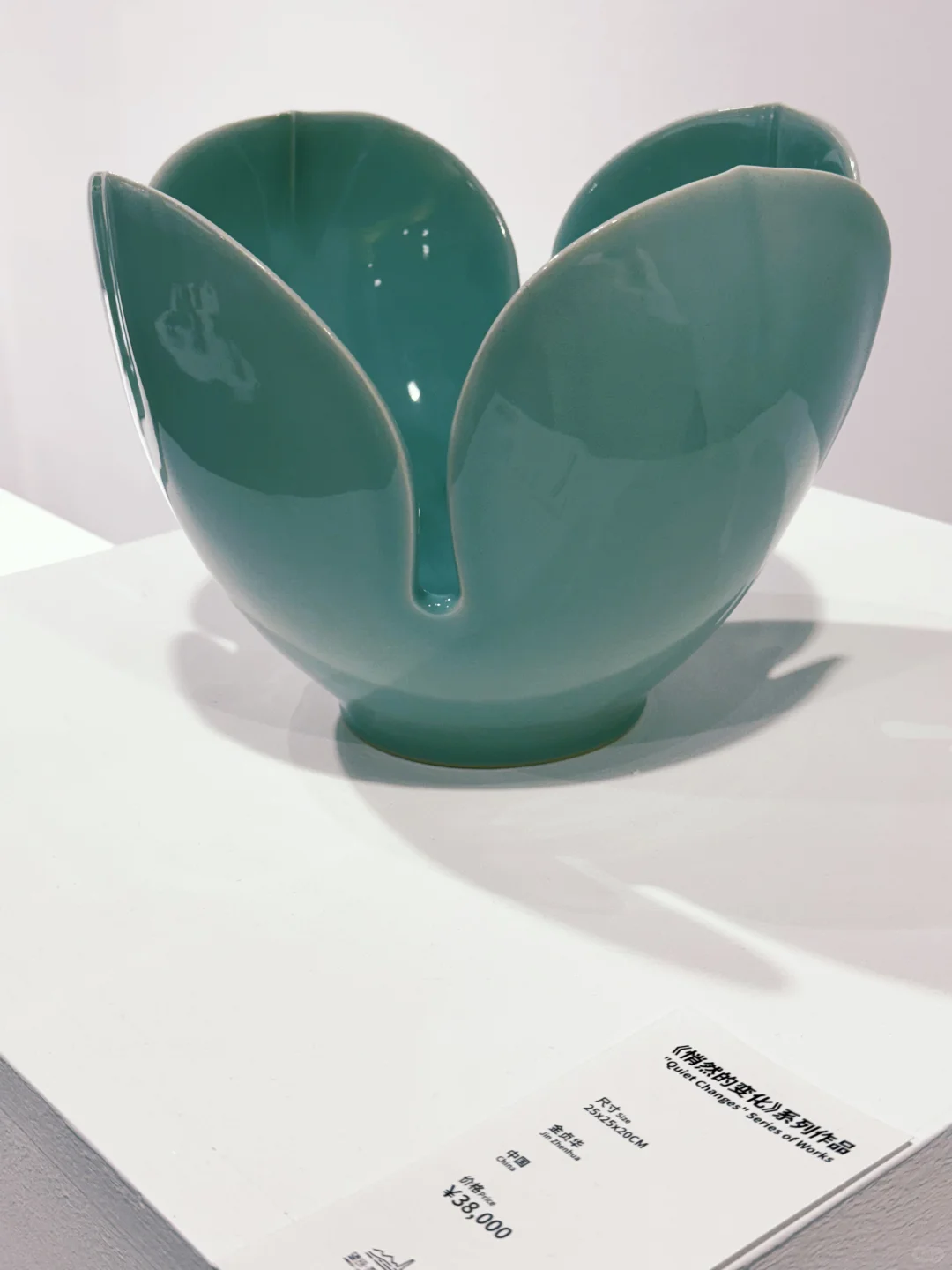 限时5天的丽水新展