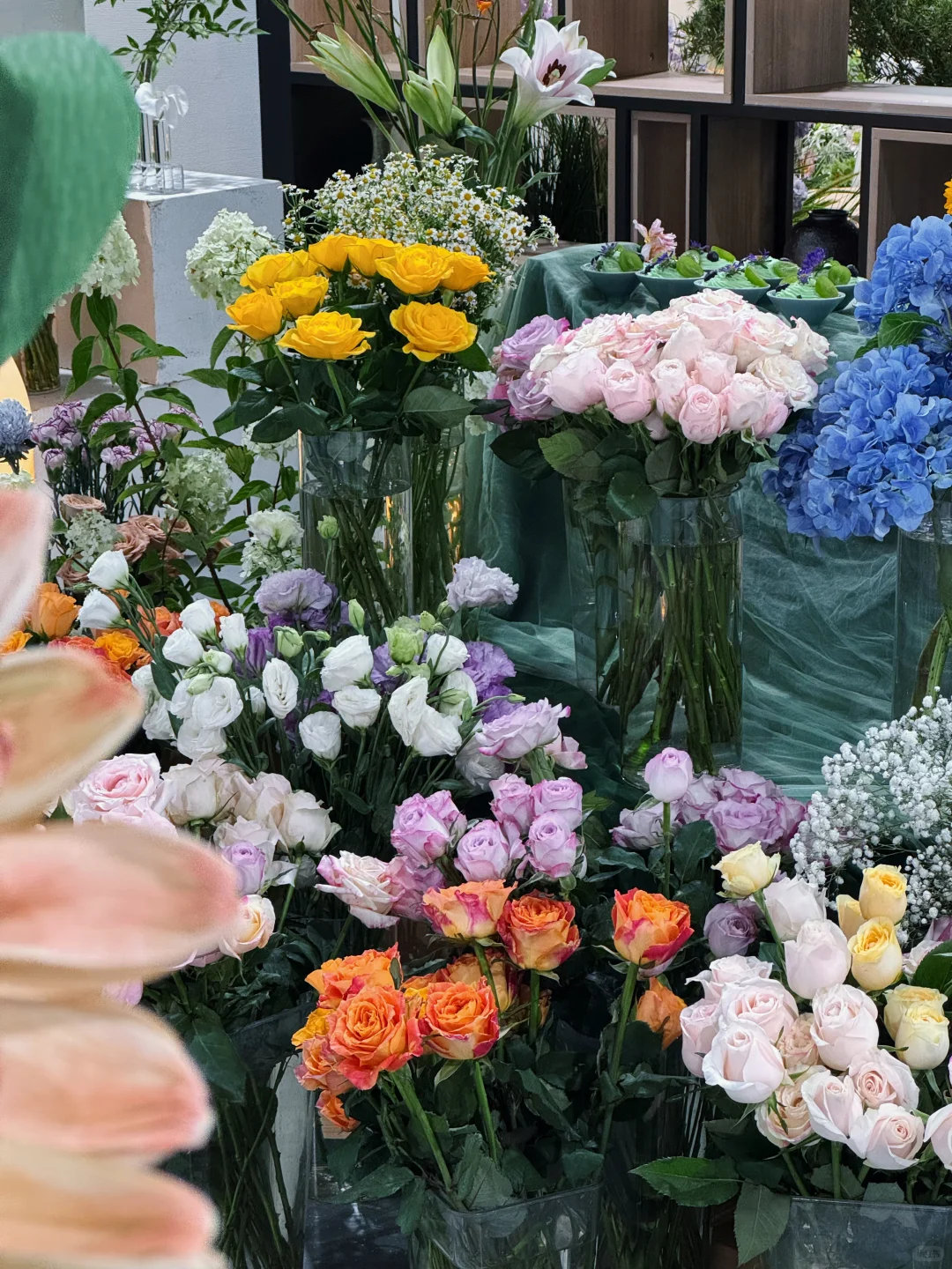 限时5天的丽水新展