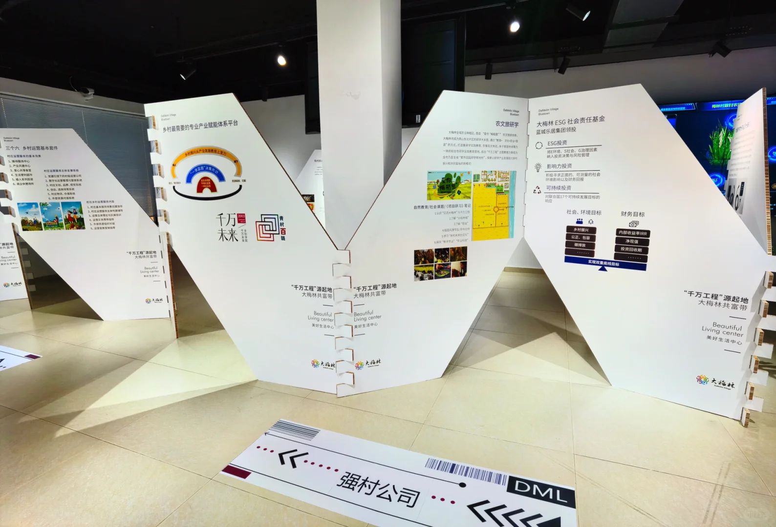 大梅林产业可持续发展“千万工程”特展