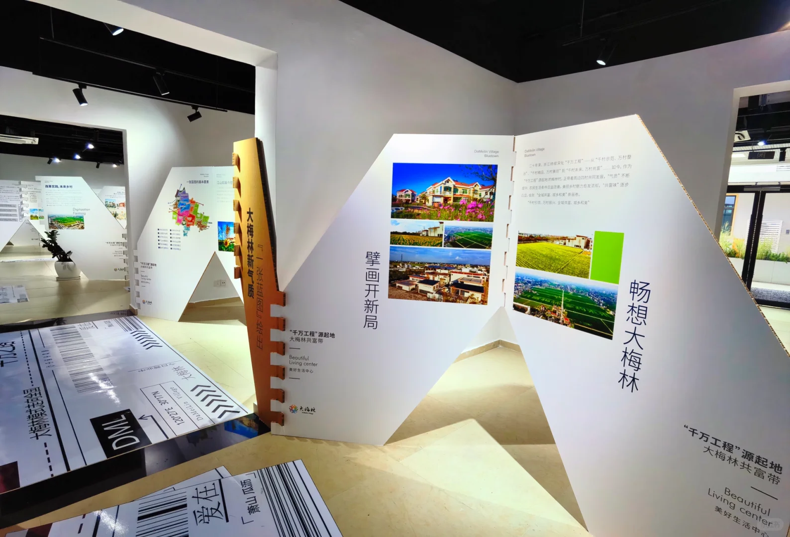 大梅林产业可持续发展“千万工程”特展