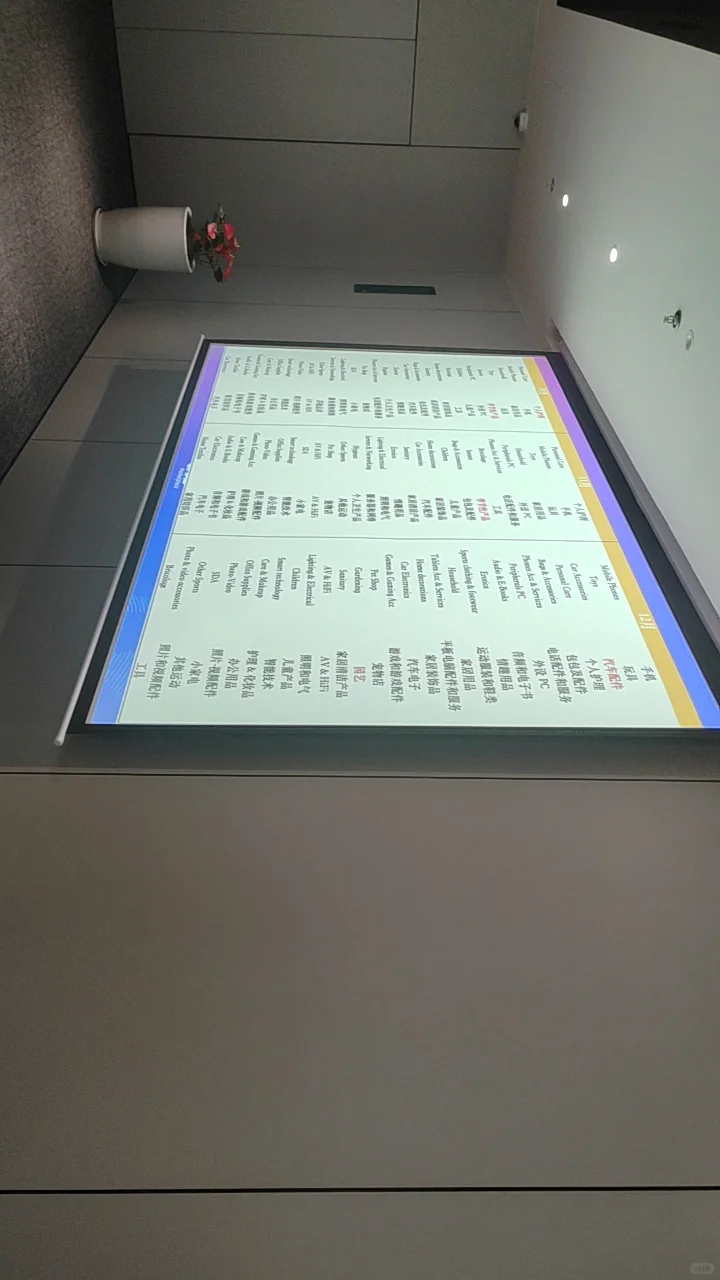 深圳打卡eMAG招商会现场体验