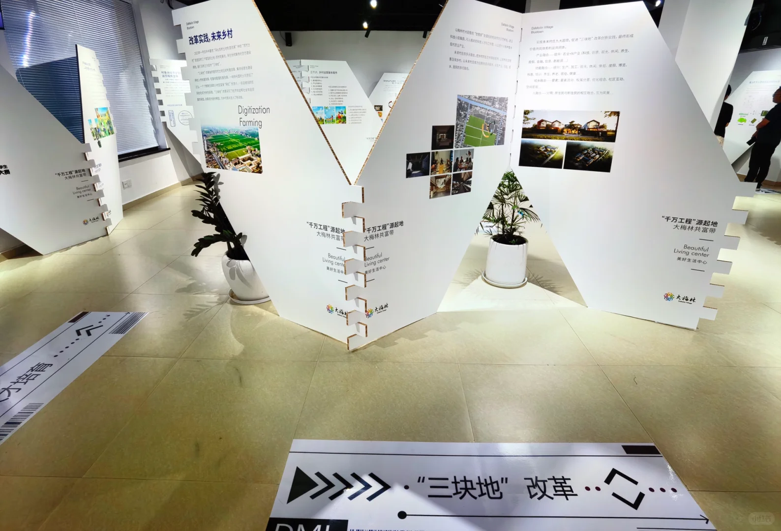 大梅林产业可持续发展“千万工程”特展