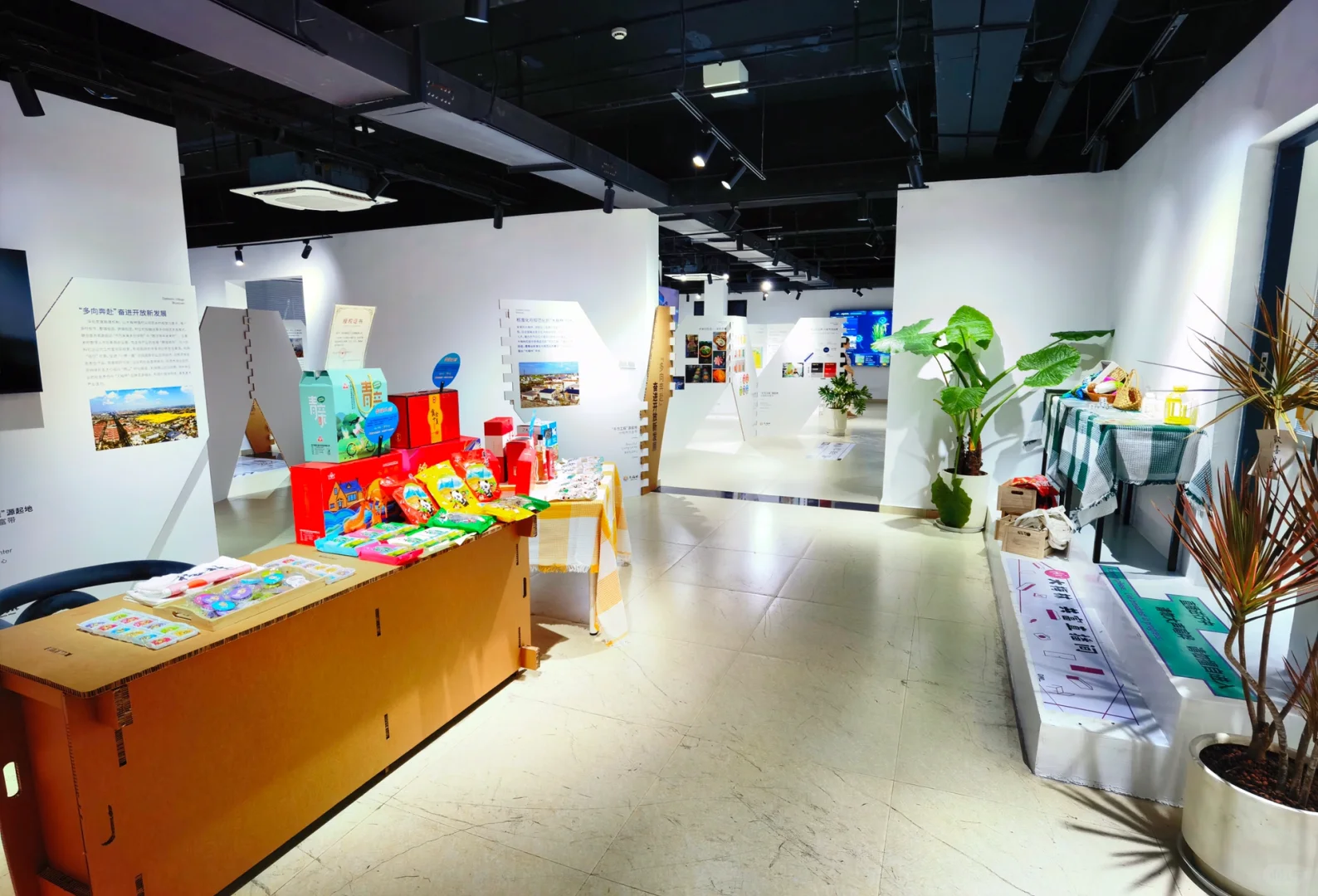 大梅林产业可持续发展“千万工程”特展