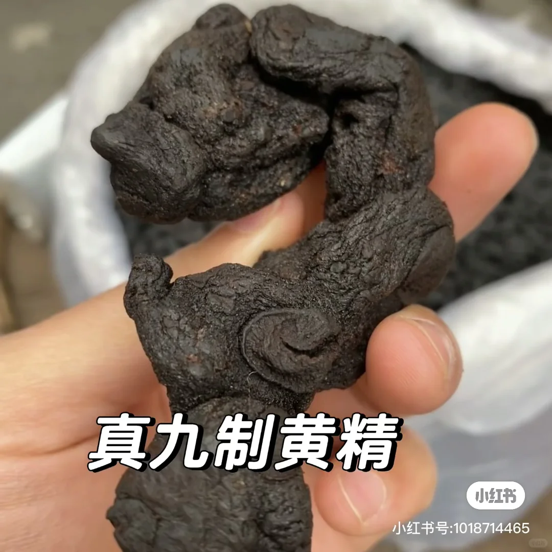 农博会不虚此行，让大山里长见识啦!