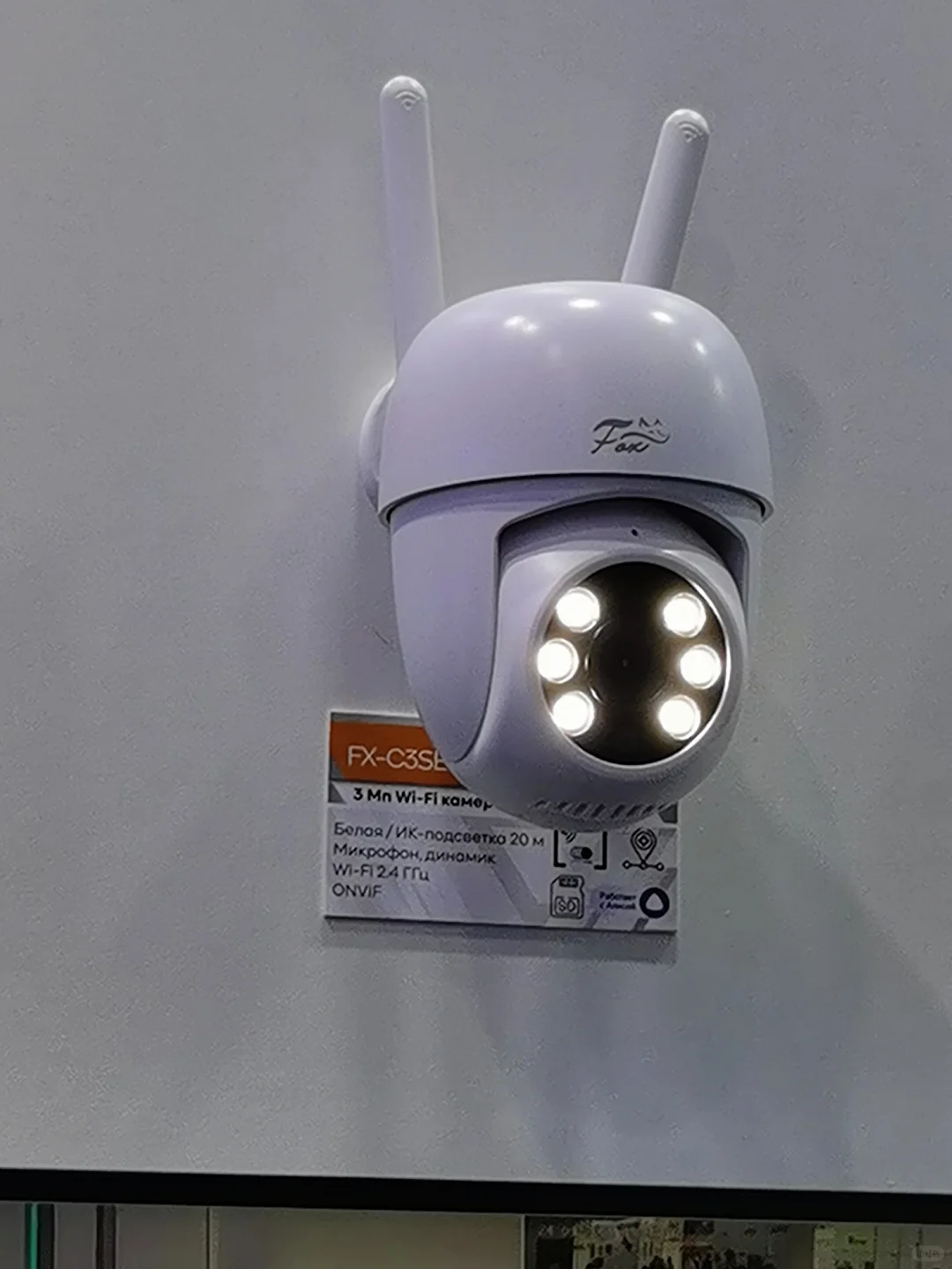 莫斯科第30届安防展