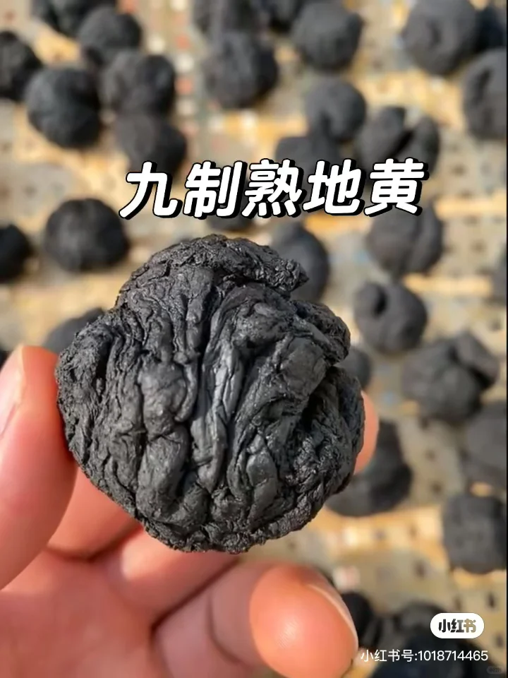 农博会不虚此行，让大山里长见识啦!