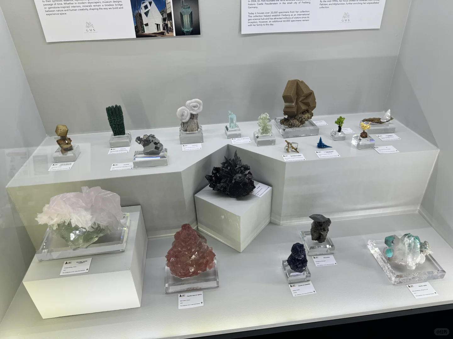 法国圣玛丽展