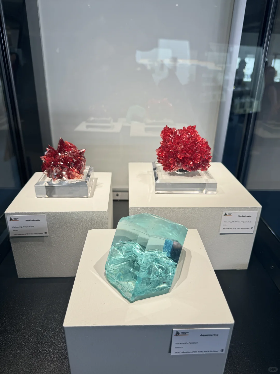 法国圣玛丽展