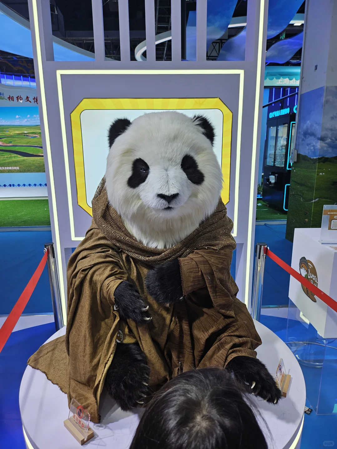 呼和浩特：去逛文博会！