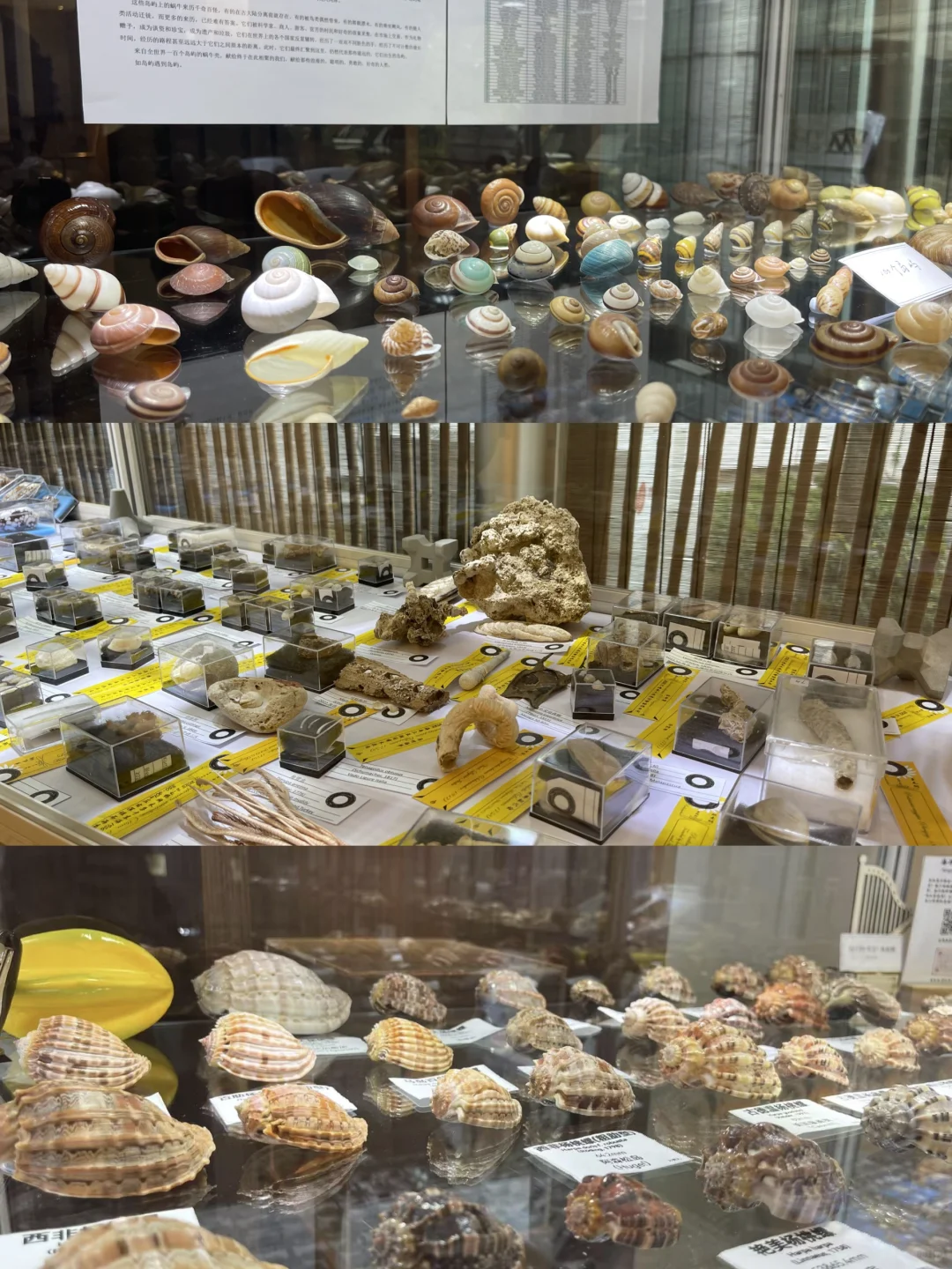 贝壳界最最最专业的展会来啦！！