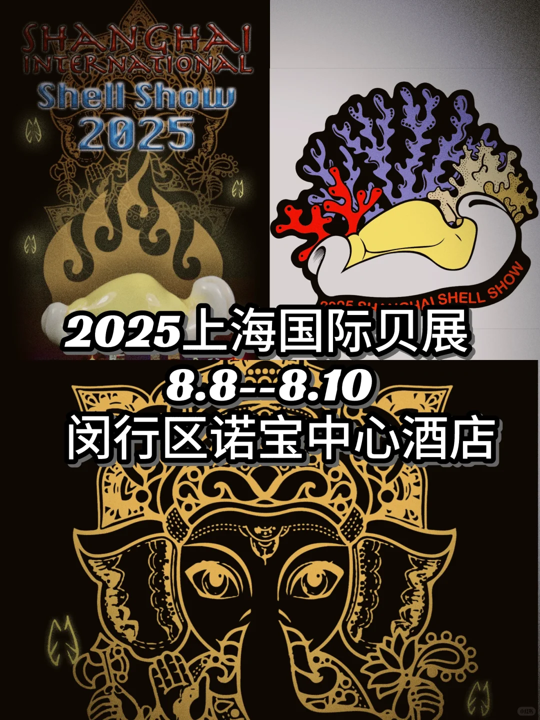 贝壳界最最最专业的展会来啦！！