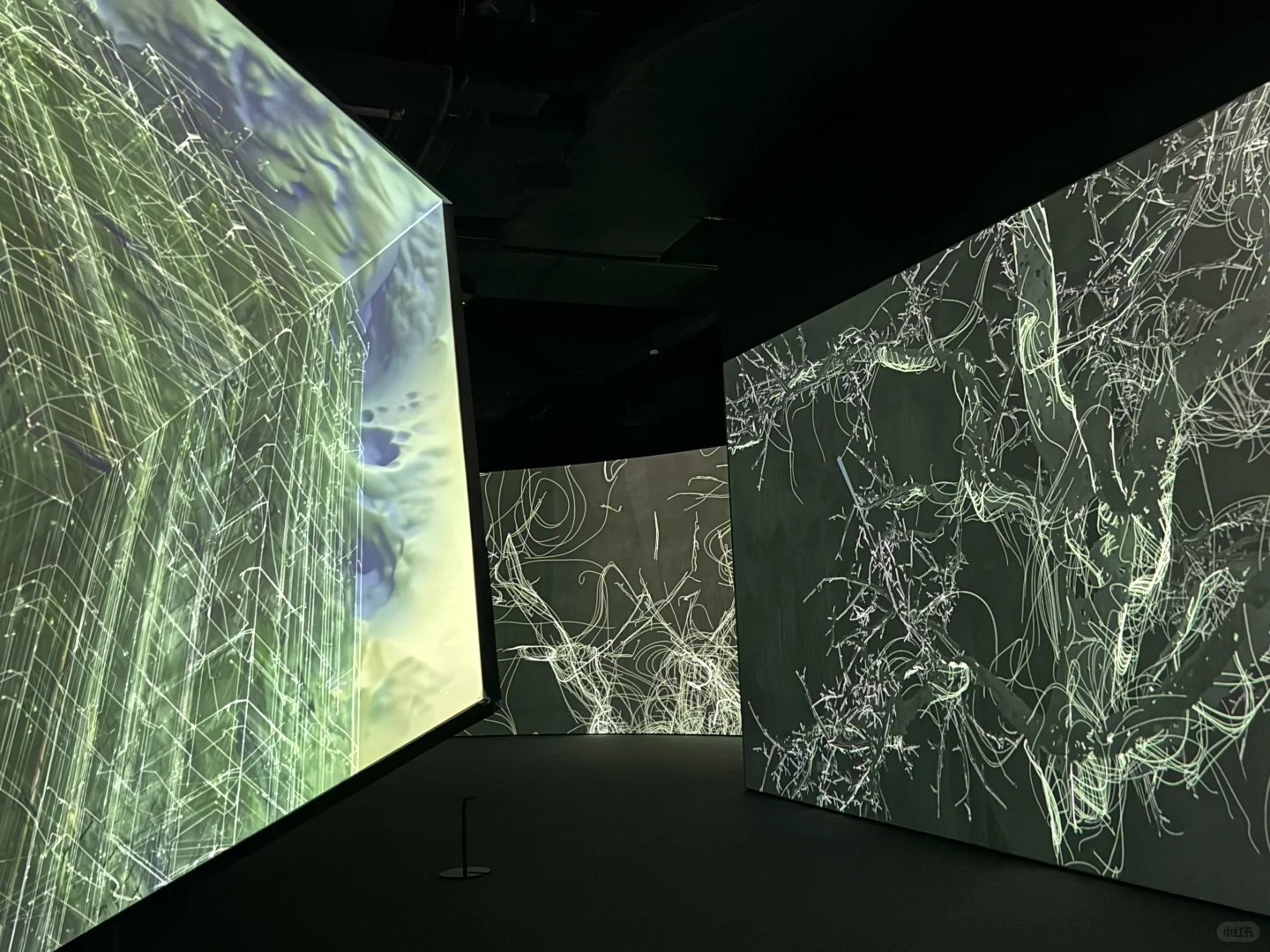广州又又又有新展? 不能错过?
