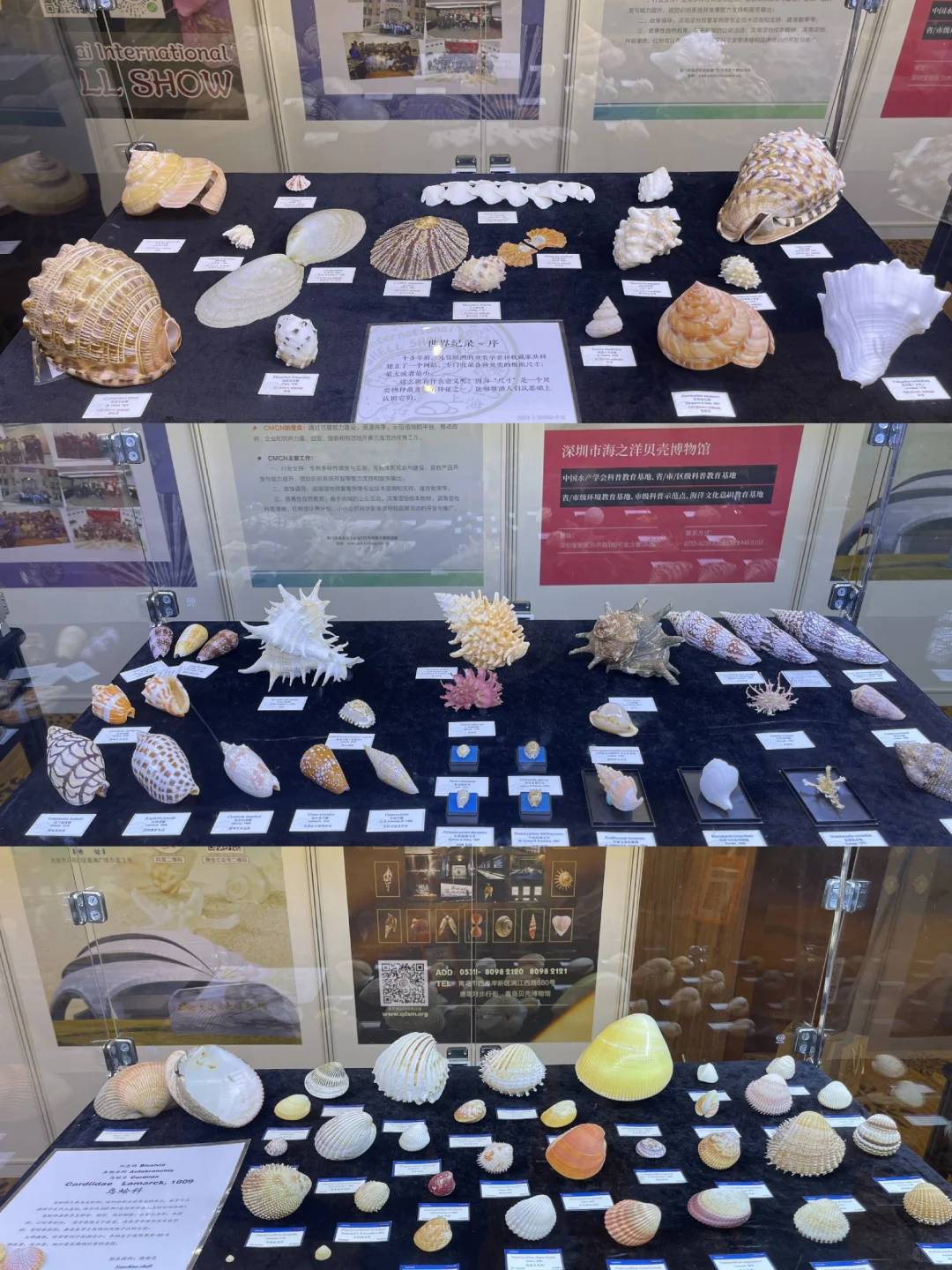 贝壳界最最最专业的展会来啦！！