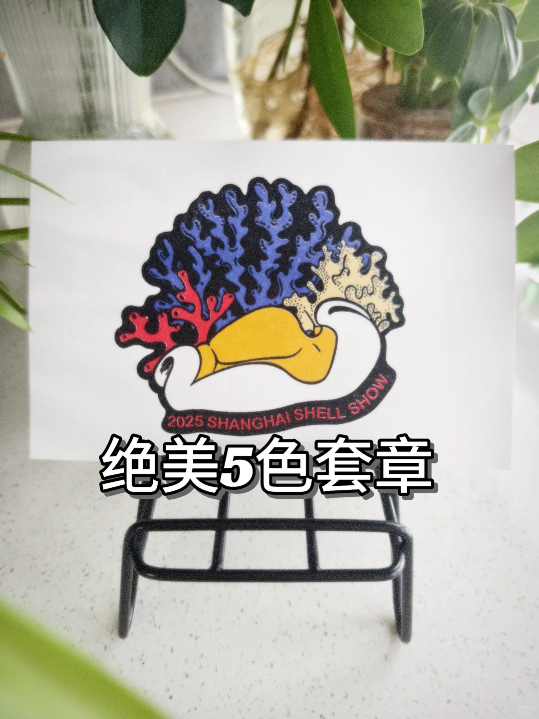 贝壳界最最最专业的展会来啦！！