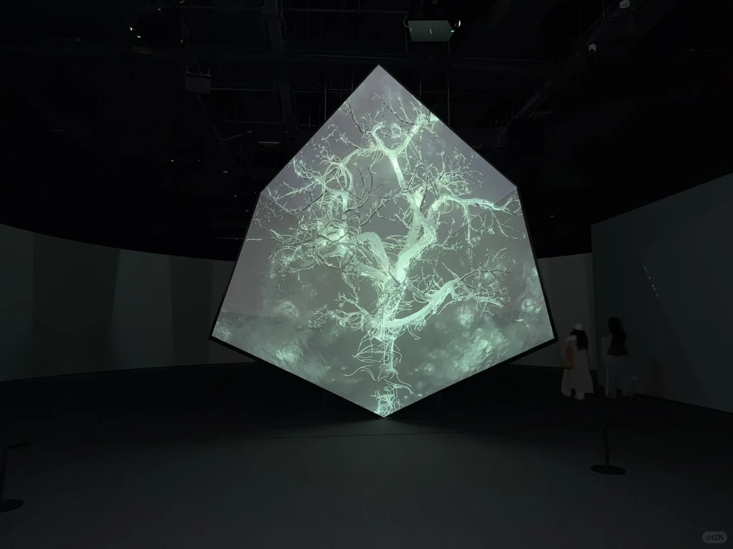 广州又又又有新展? 不能错过?