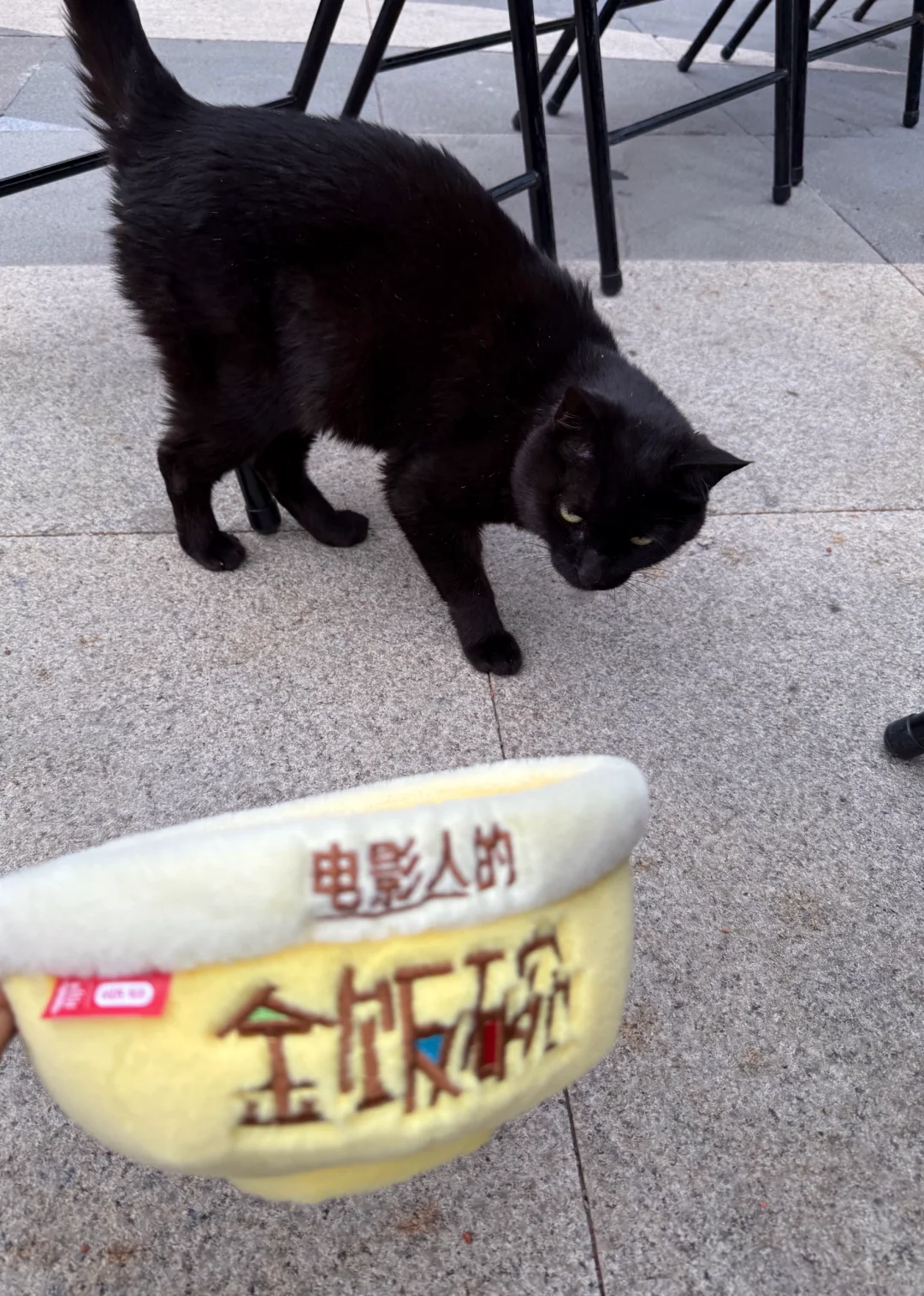 电影人，你想要铁饭碗还是金饭碗？