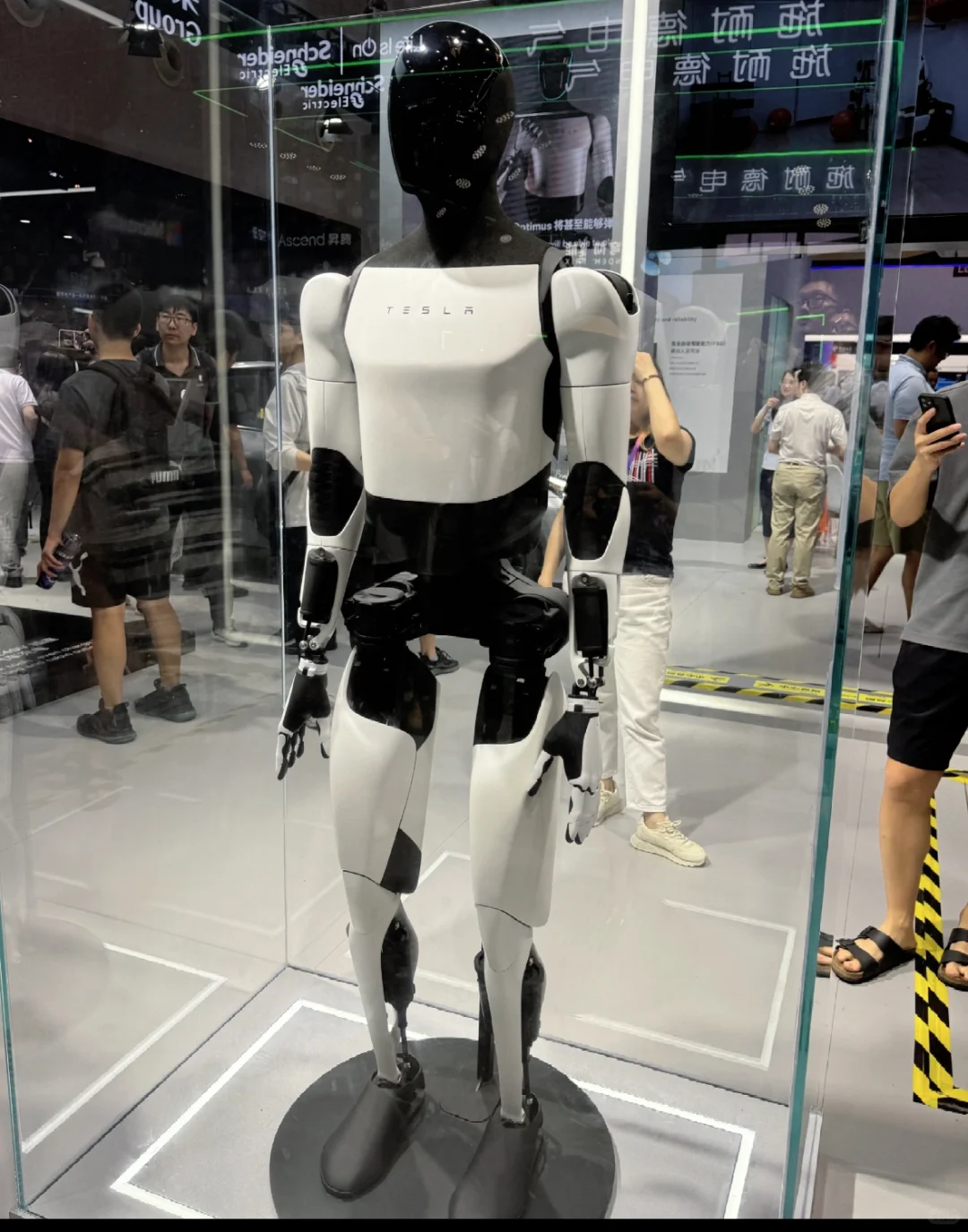火爆！世界人工智能大会亲子逛展怎么玩