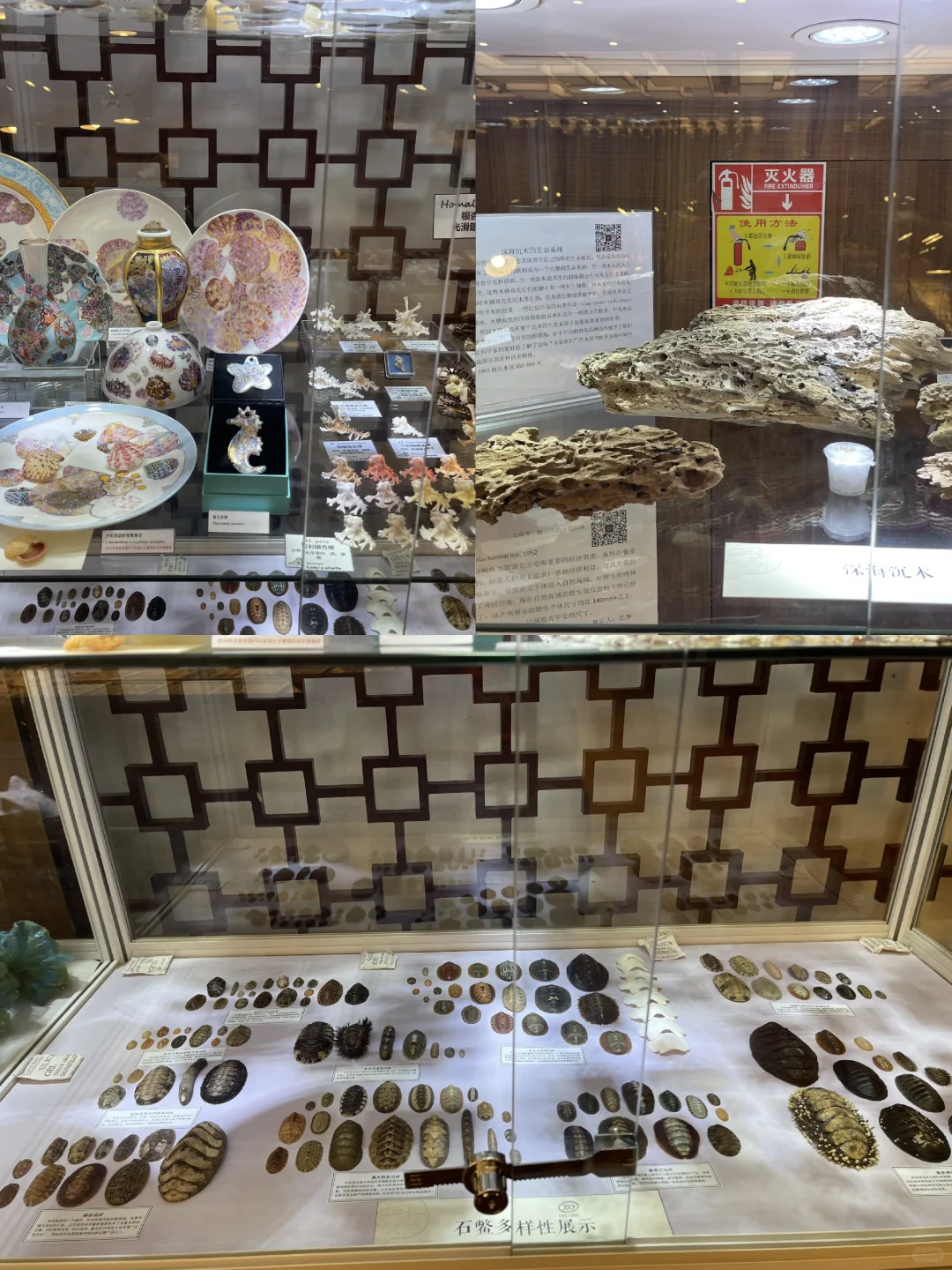 贝壳界最最最专业的展会来啦！！