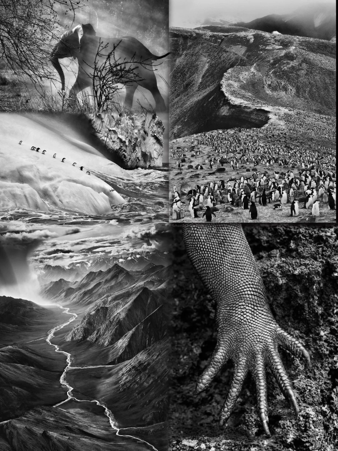 魔都巨出片新展‼️走进未来科幻赛博世界‼️