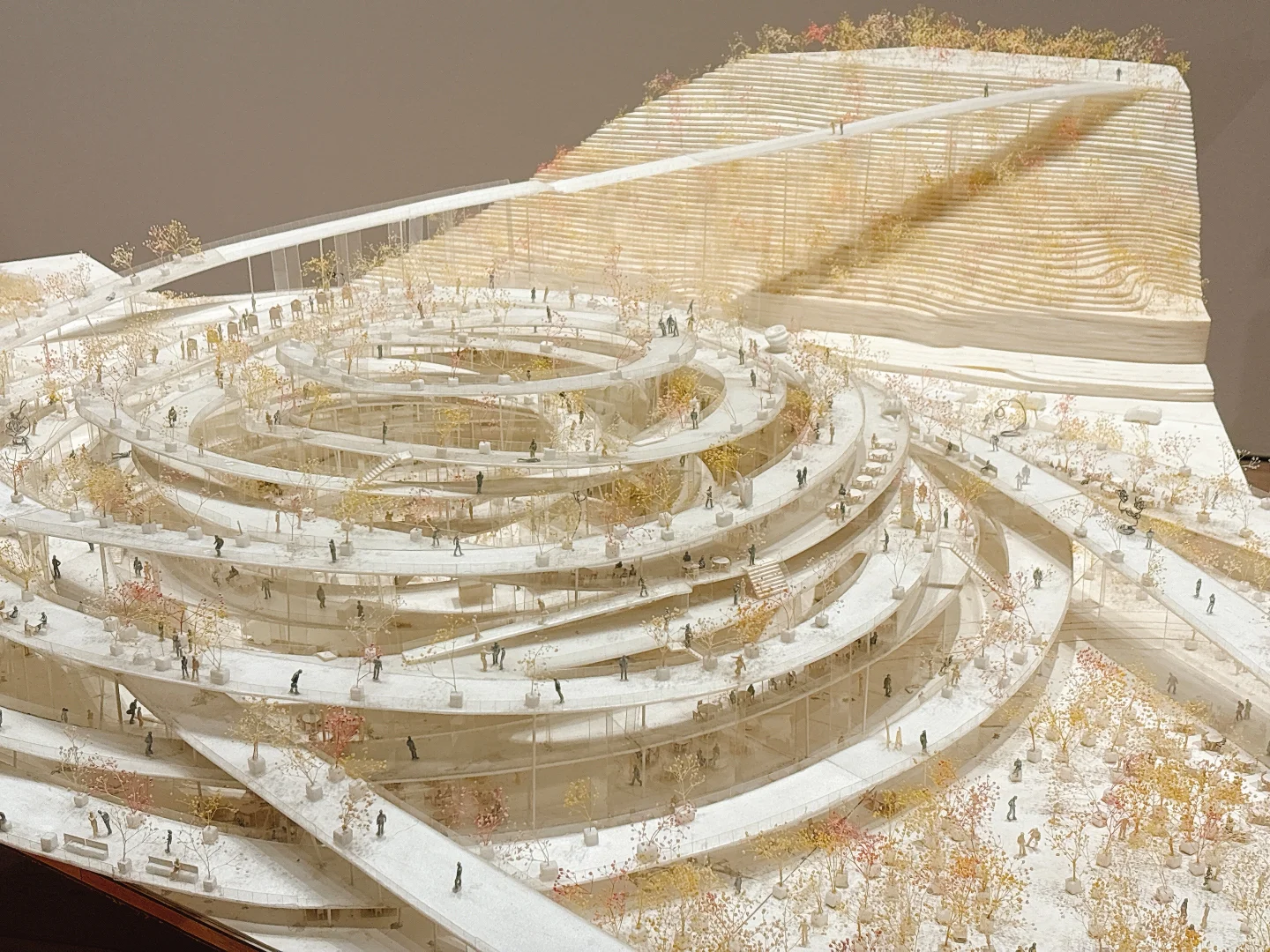 东京看展｜藤本壮介的建筑——原初·未来·森林