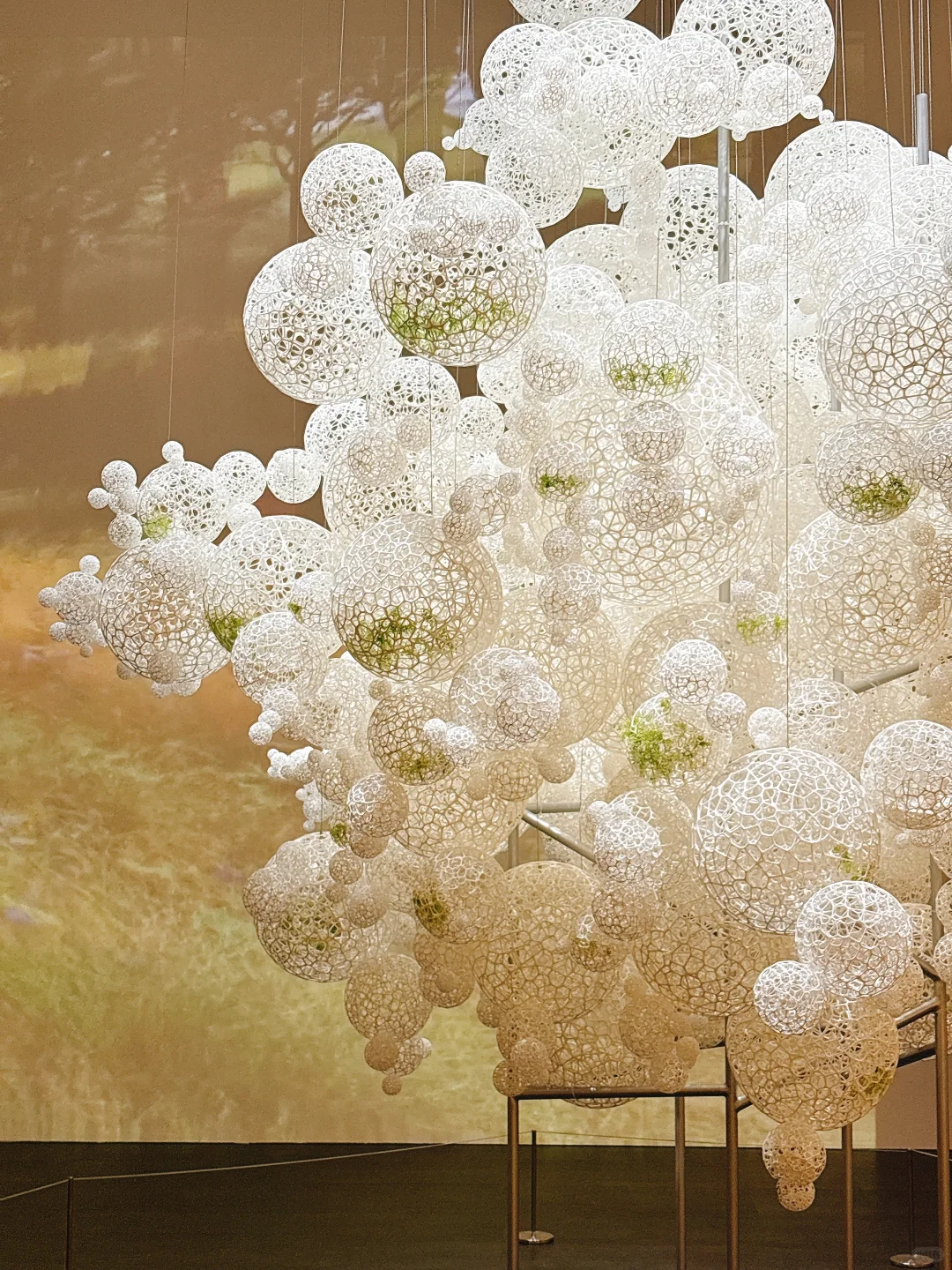 东京看展｜藤本壮介的建筑——原初·未来·森林