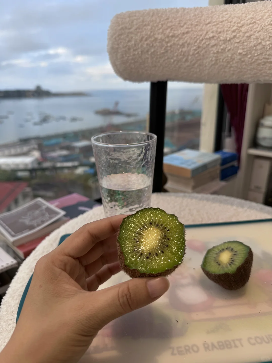 就因为这窗户，我决定窝家里不外出了