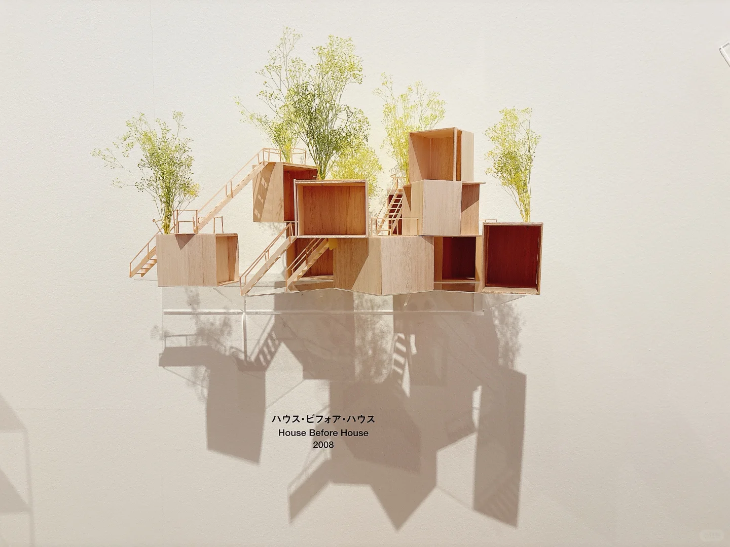 东京看展｜藤本壮介的建筑——原初·未来·森林