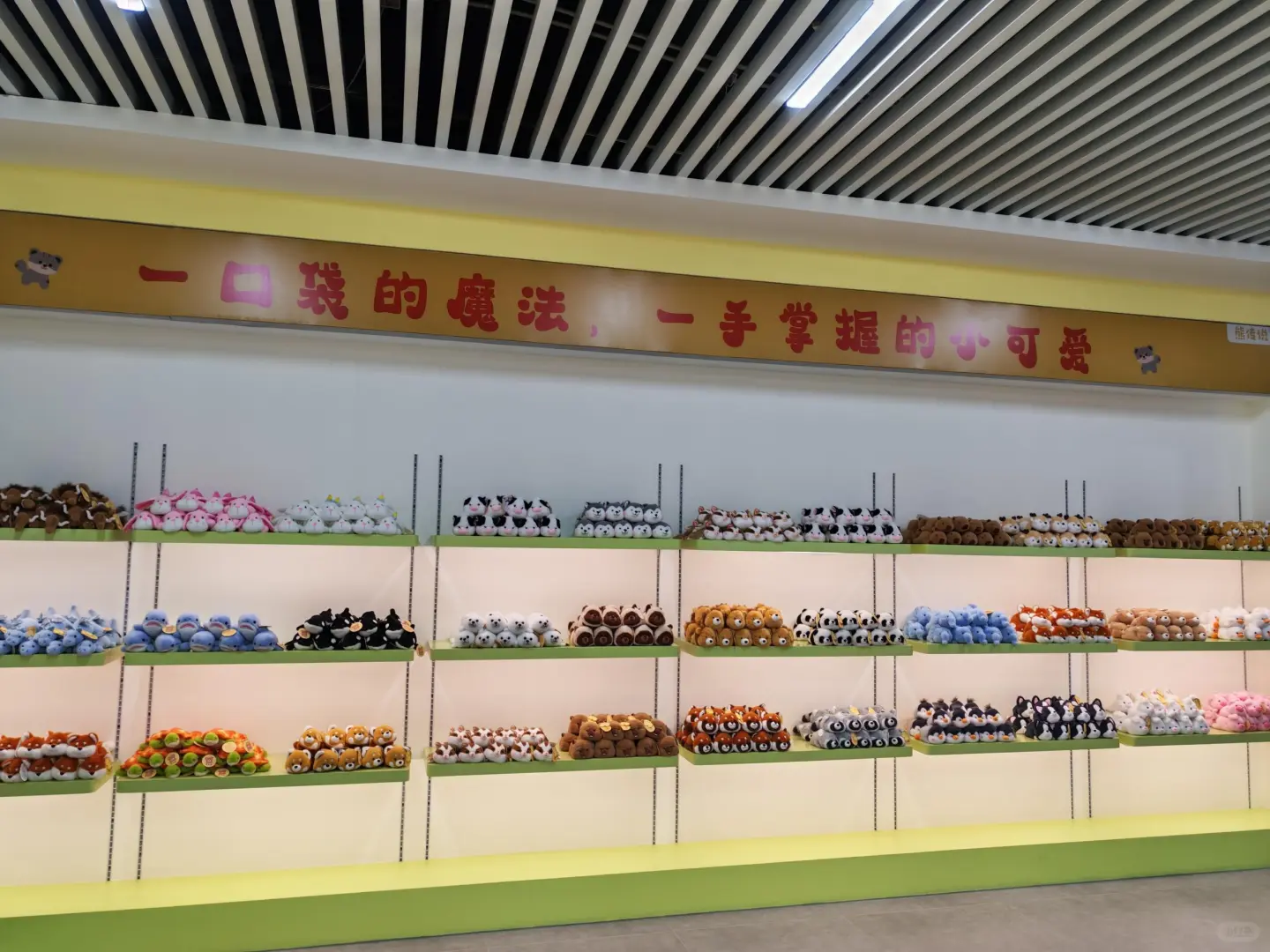 这个展也太好看了吧～～?