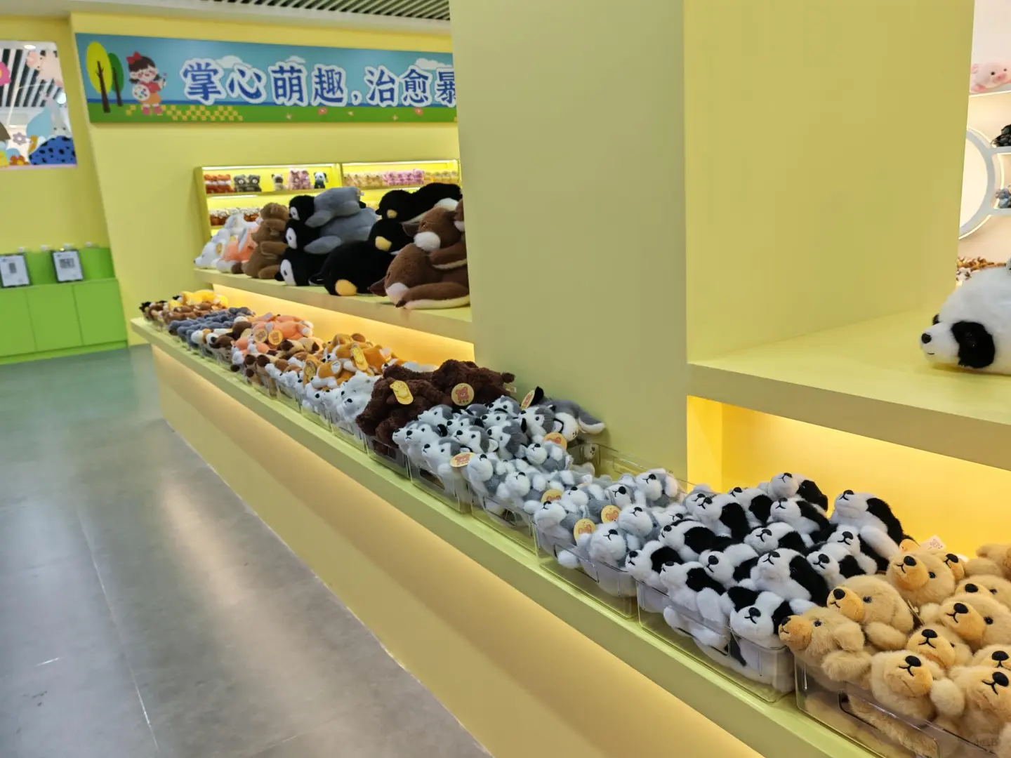 这个展也太好看了吧～～?