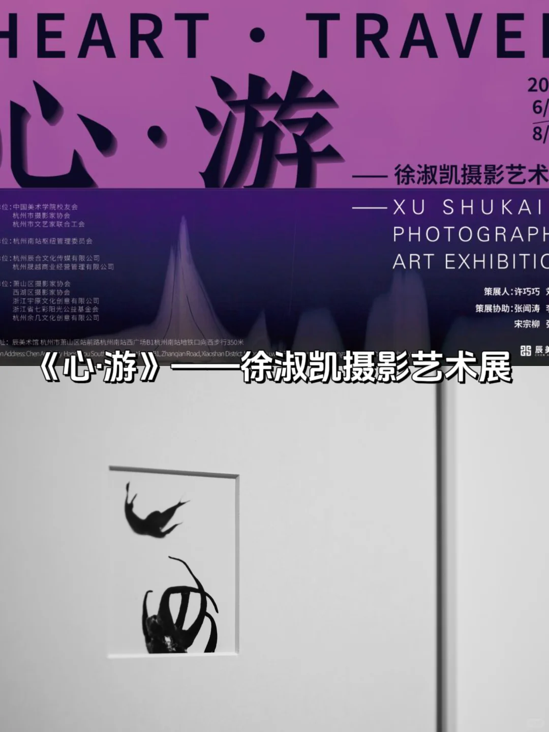 杭州7月展讯暴击!9场0元神仙展速戳