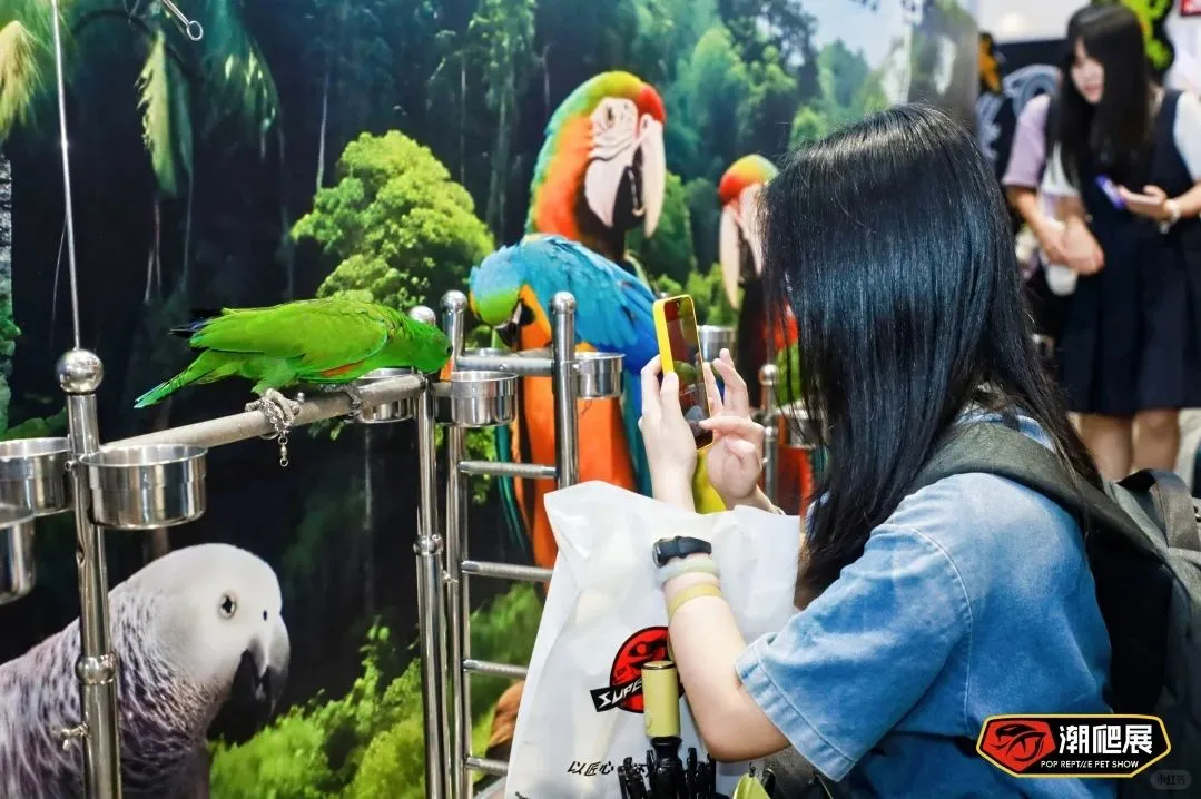 下一站武汉！潮爬展的“中部攻略”正式启动