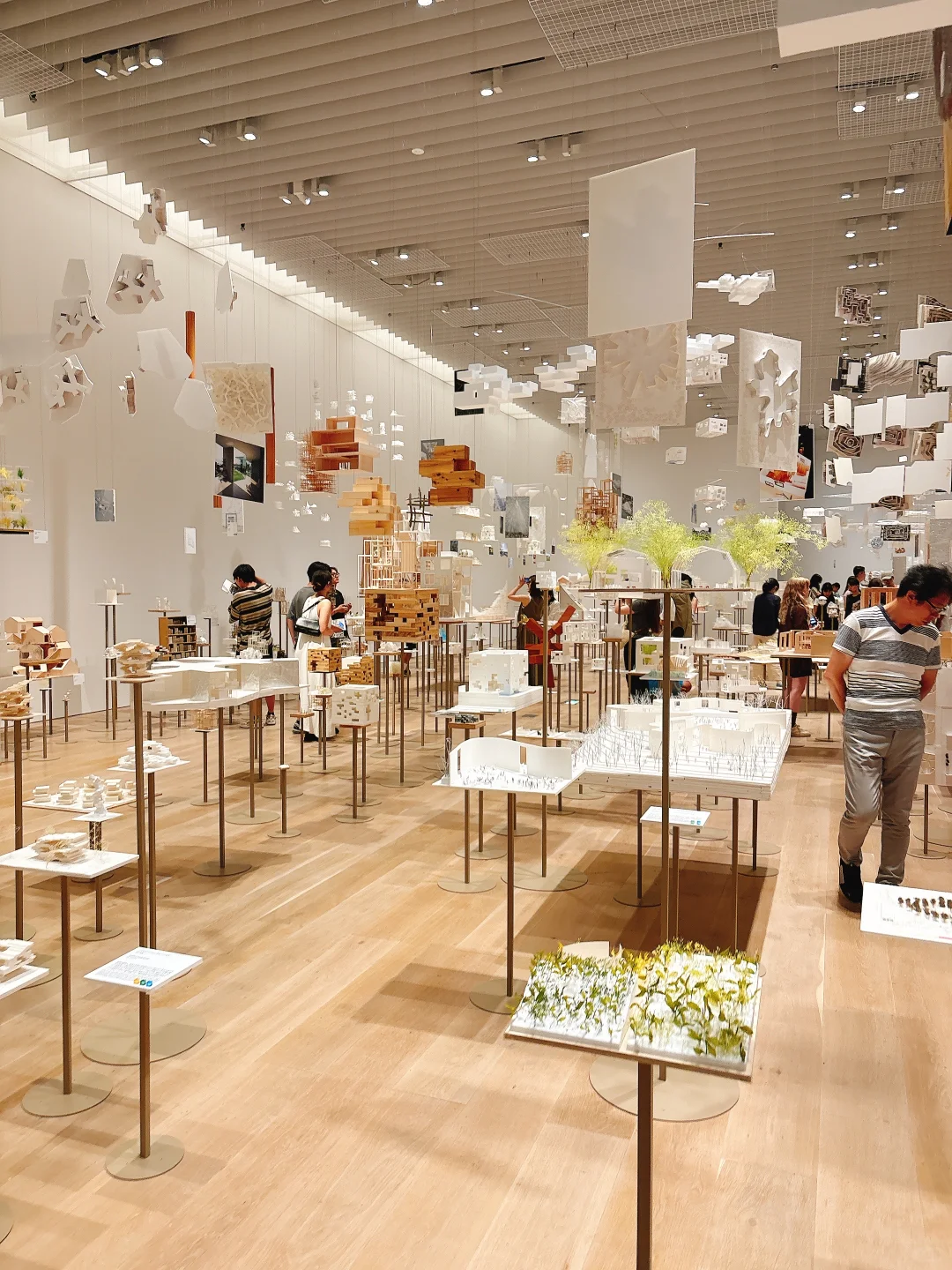 东京看展｜藤本壮介的建筑——原初·未来·森林