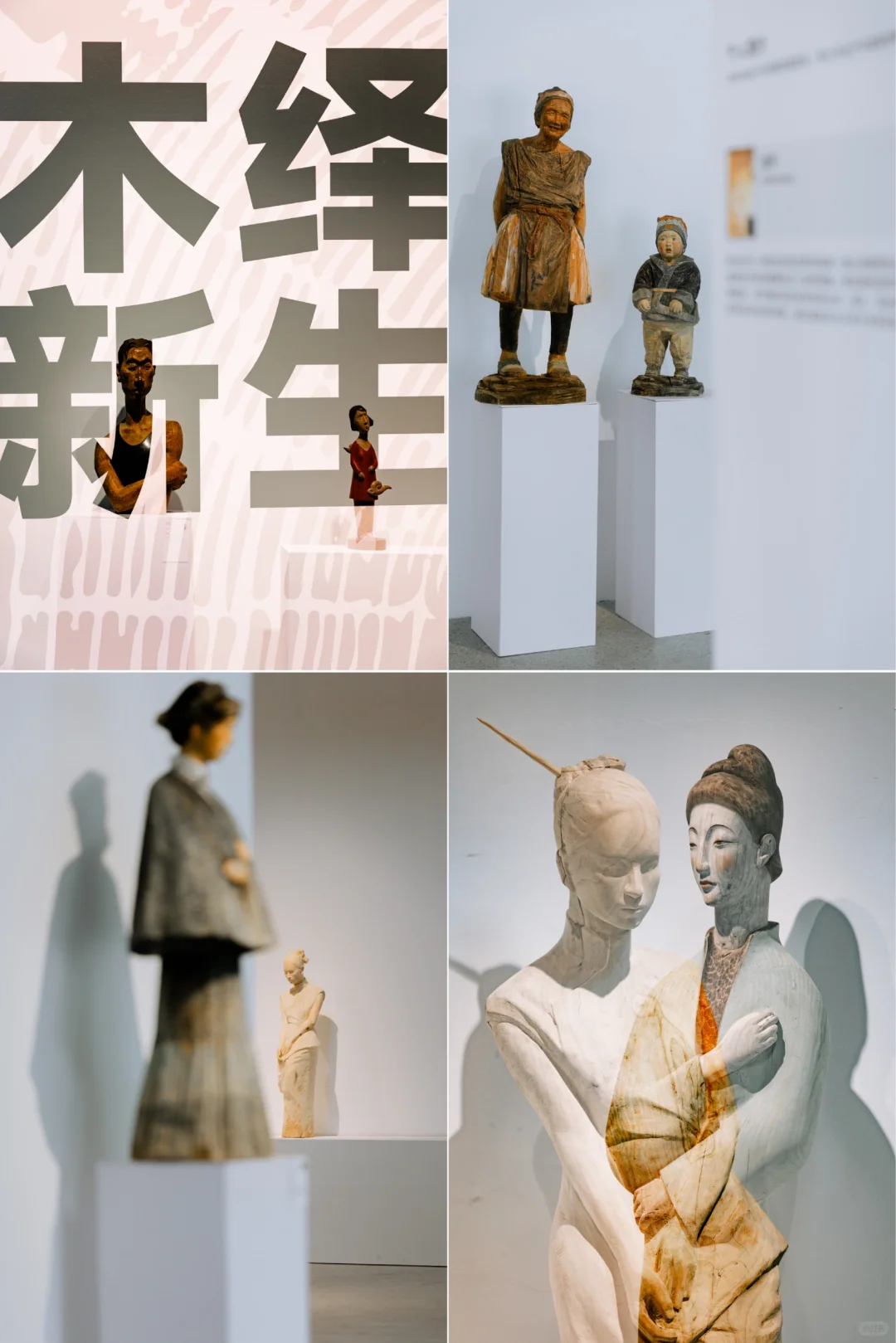 宁波文化馆有新展啦/木绎新生?2️⃣系列