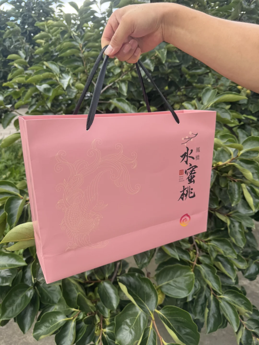 社区团购团长招募