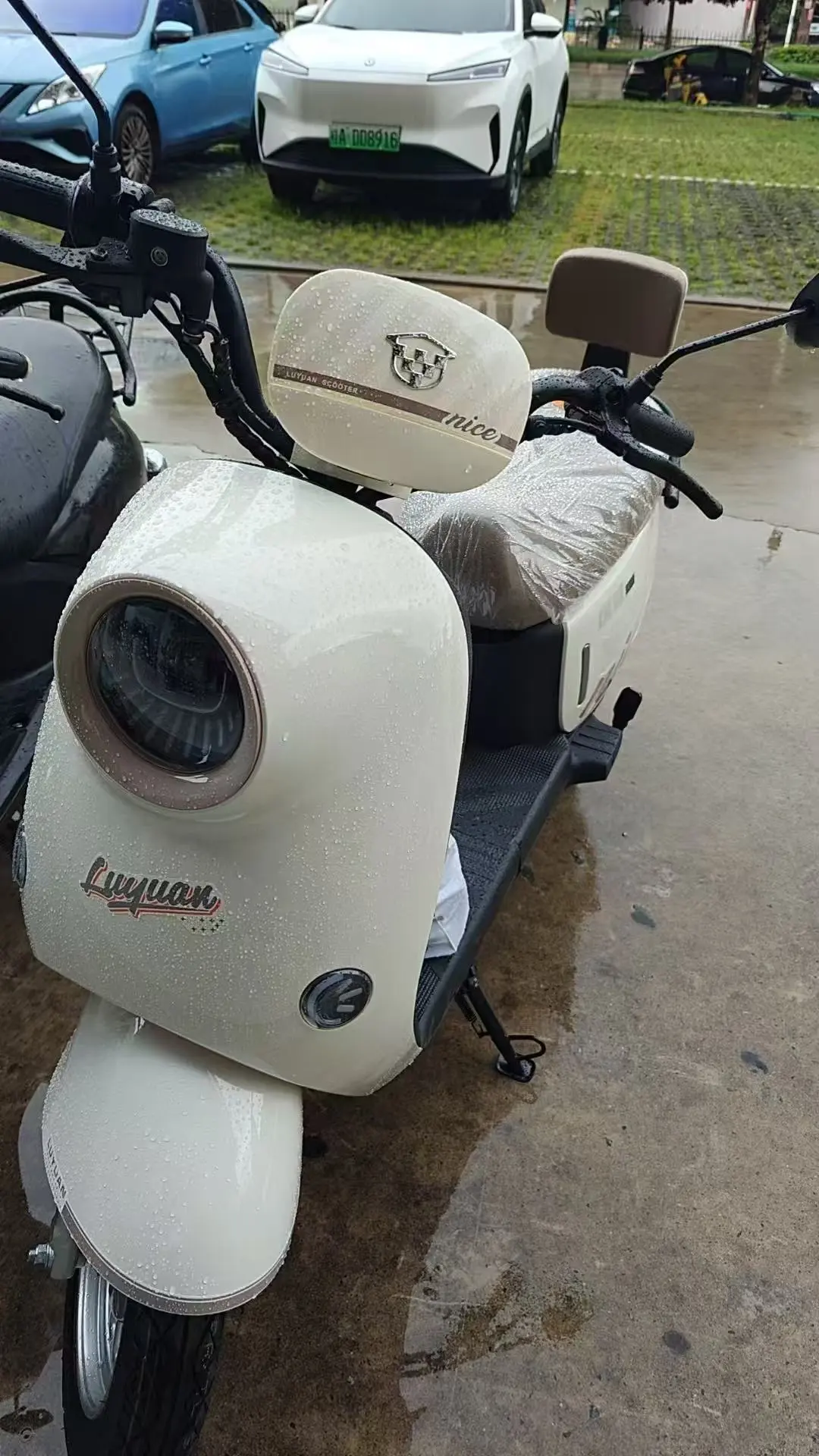 南宁1899的绿源团购安全下车