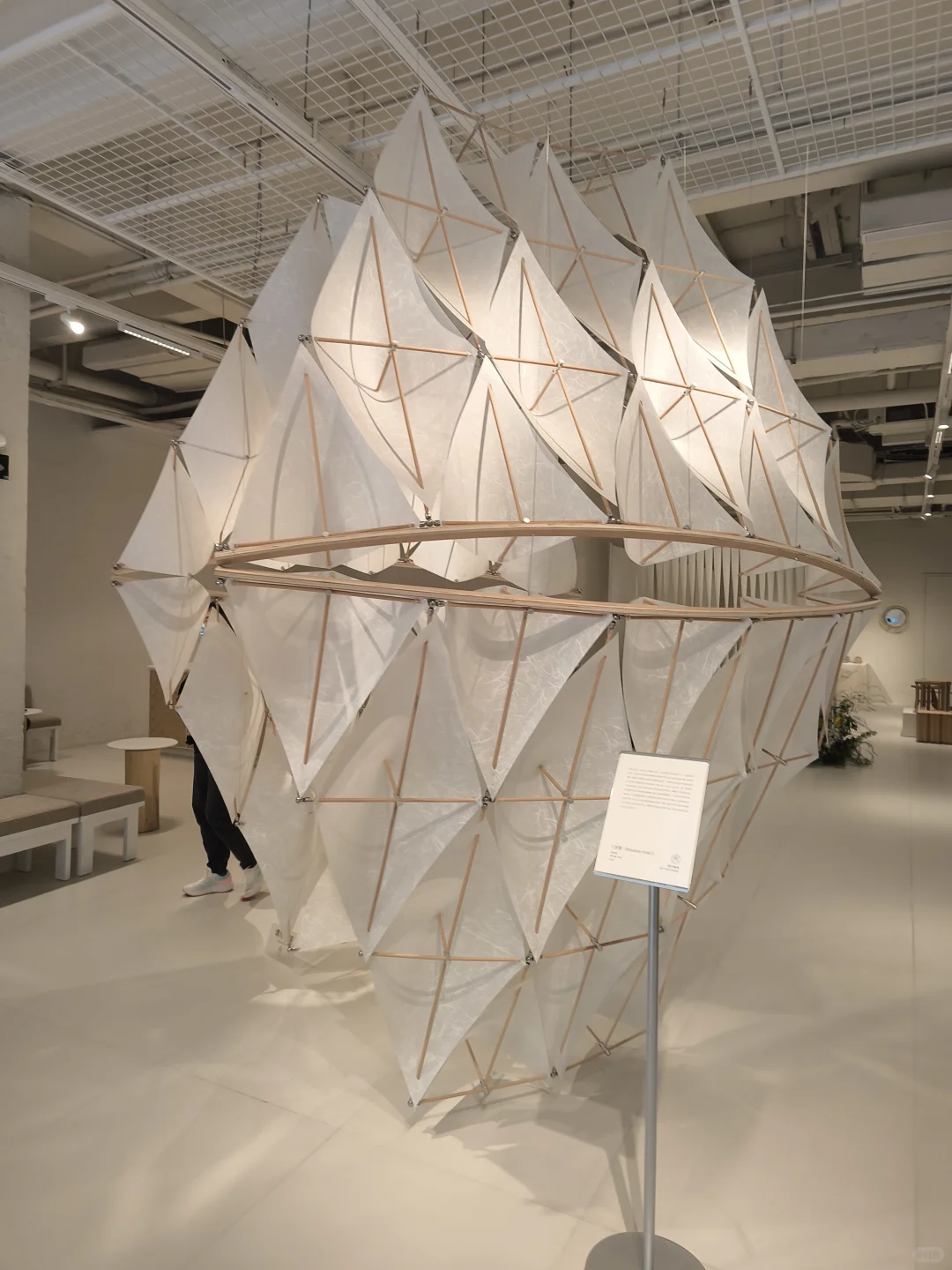 FREE | 上海展，布的折叠术In Room～?✨