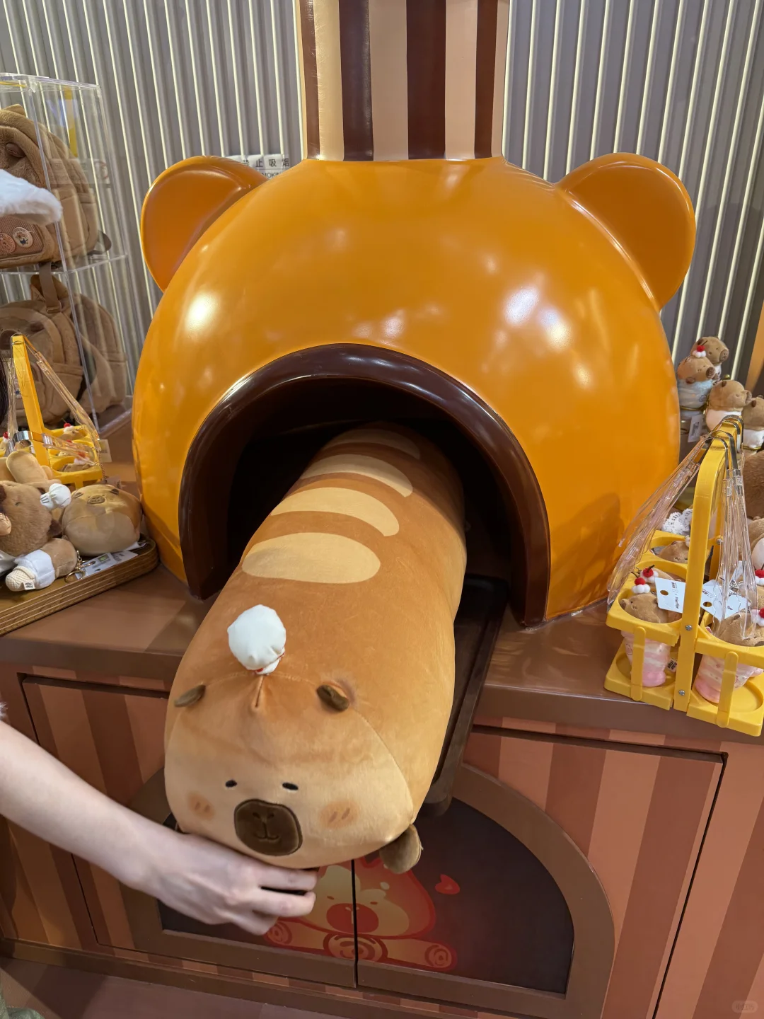 南京人民都接到通知了吗？？？