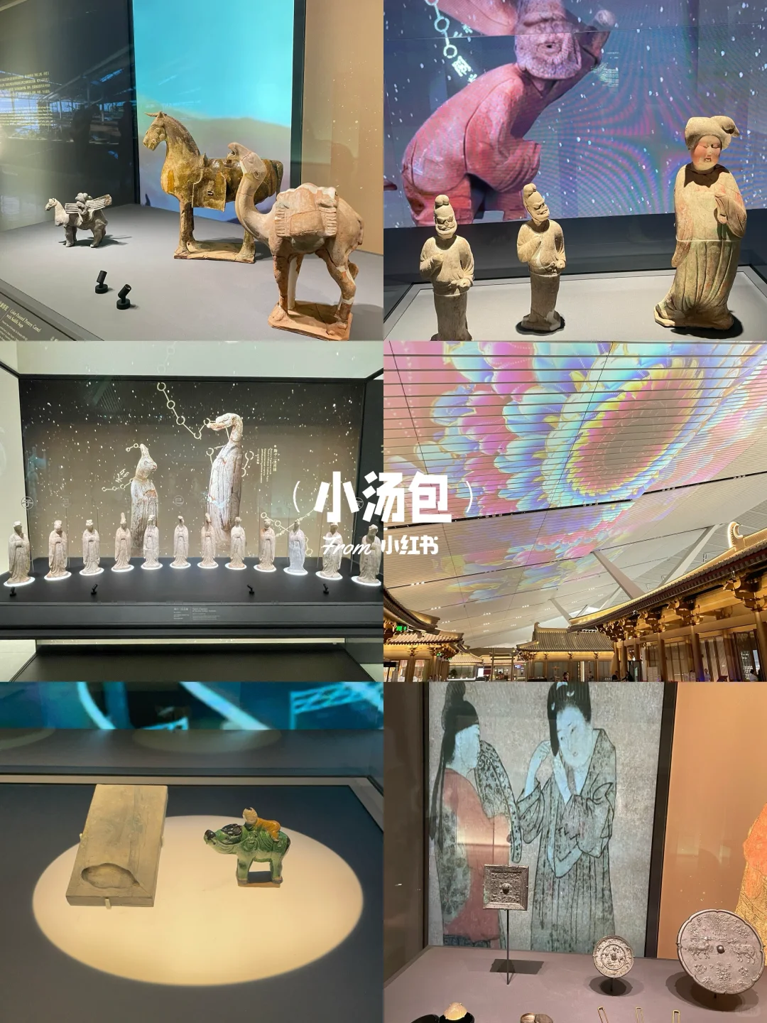 ?！暑期必冲！12个西安值得看的（展览合集）