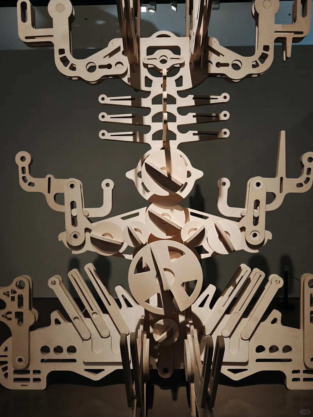 上海免费新展｜必须打开live模式的宝藏展览