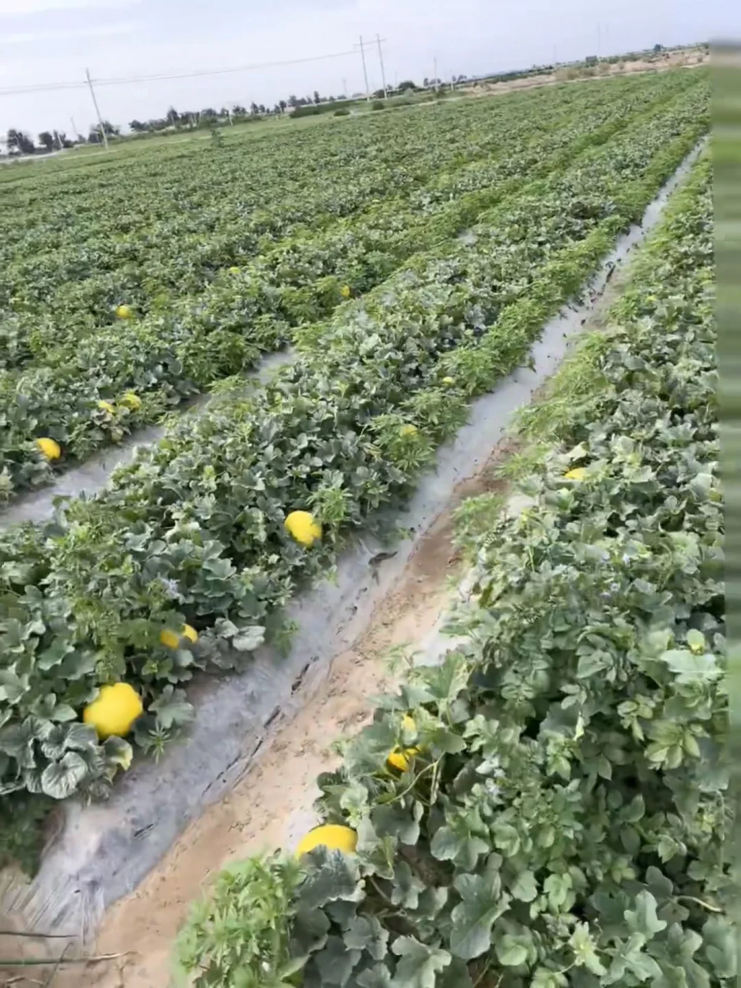 后来我才明白,一代人有一代人的牢笼!