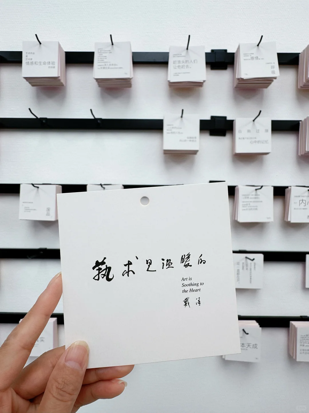 深圳免费新展｜走进满墙的小熊世界?，好可爱