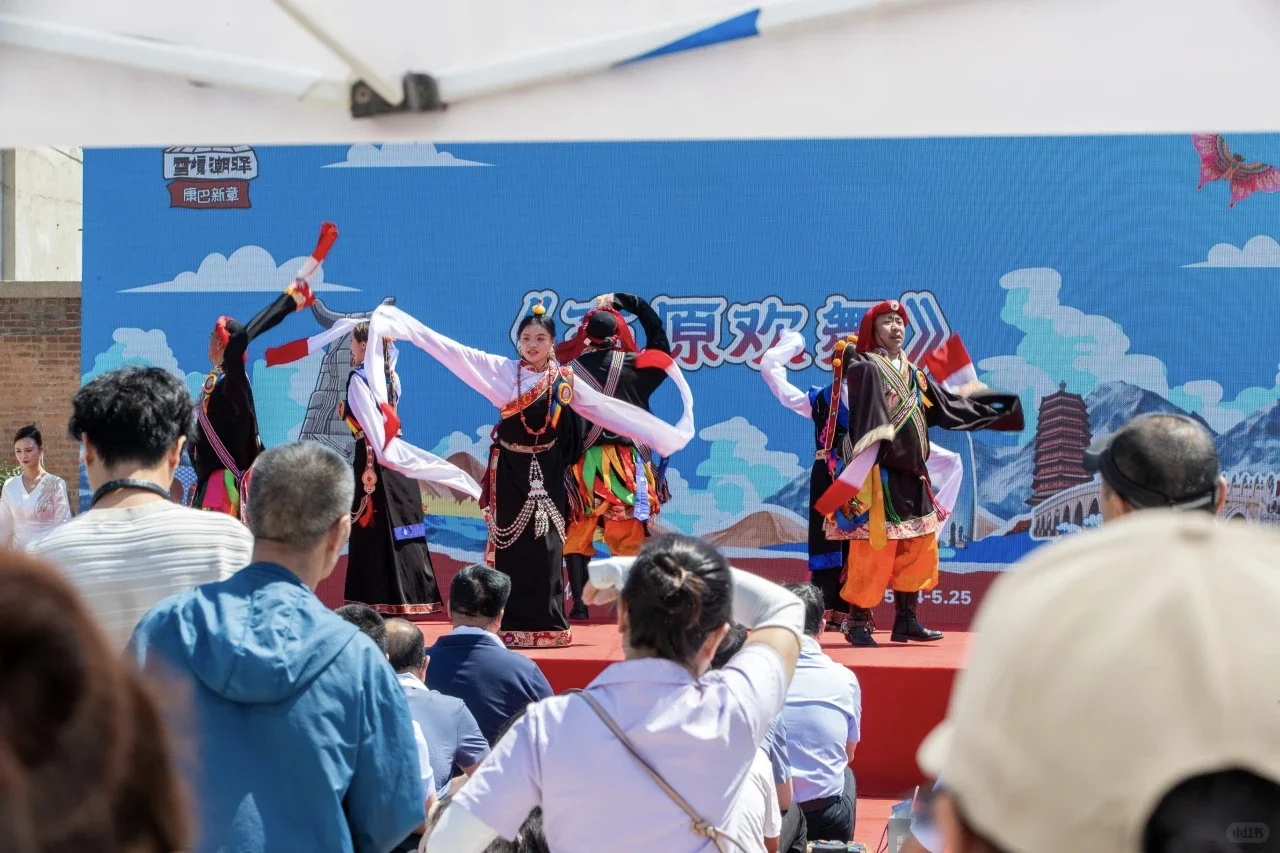 丰台区首届玉树消费进京展销会