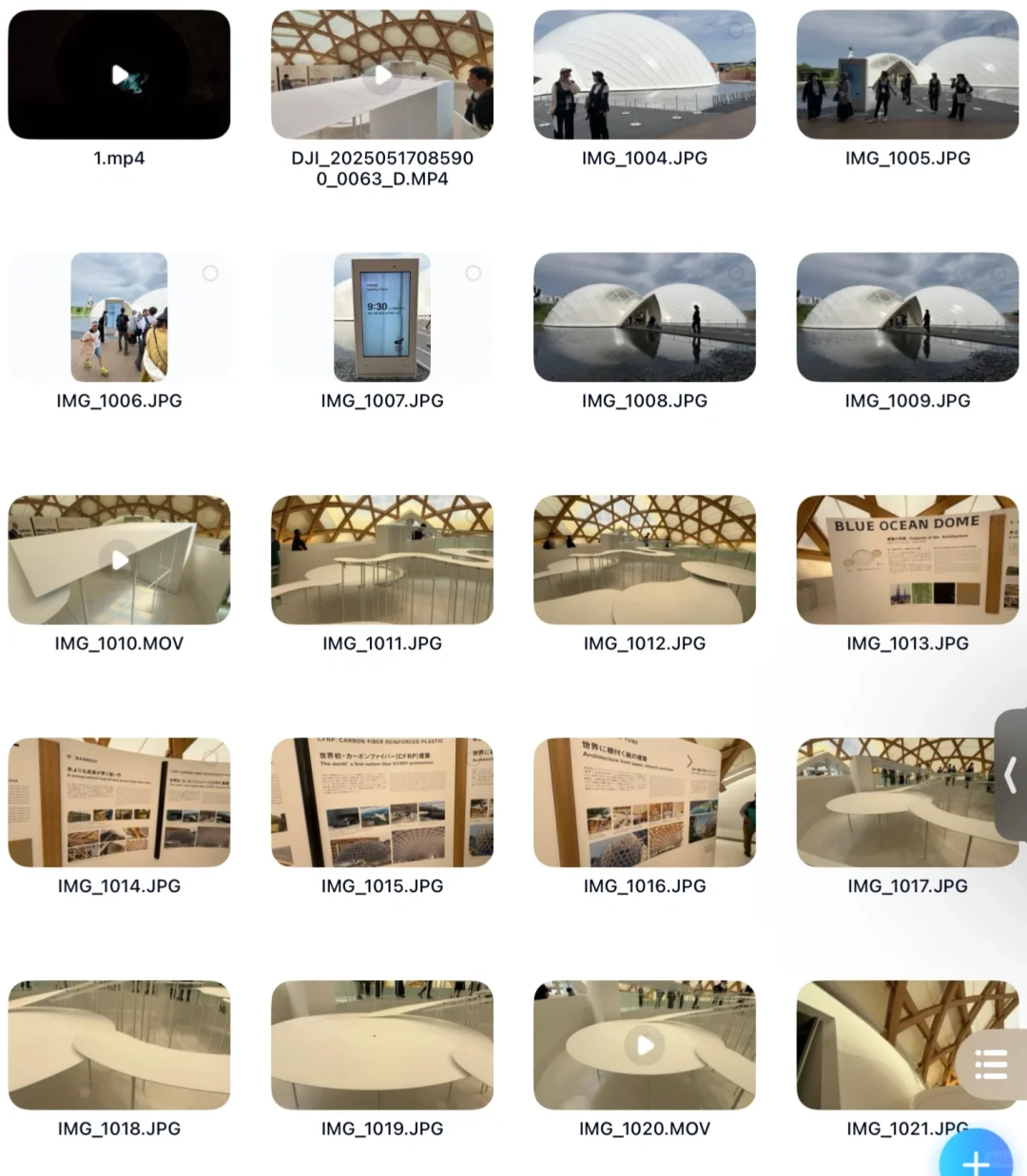 (还)没去大阪世博会的朋友们看过来