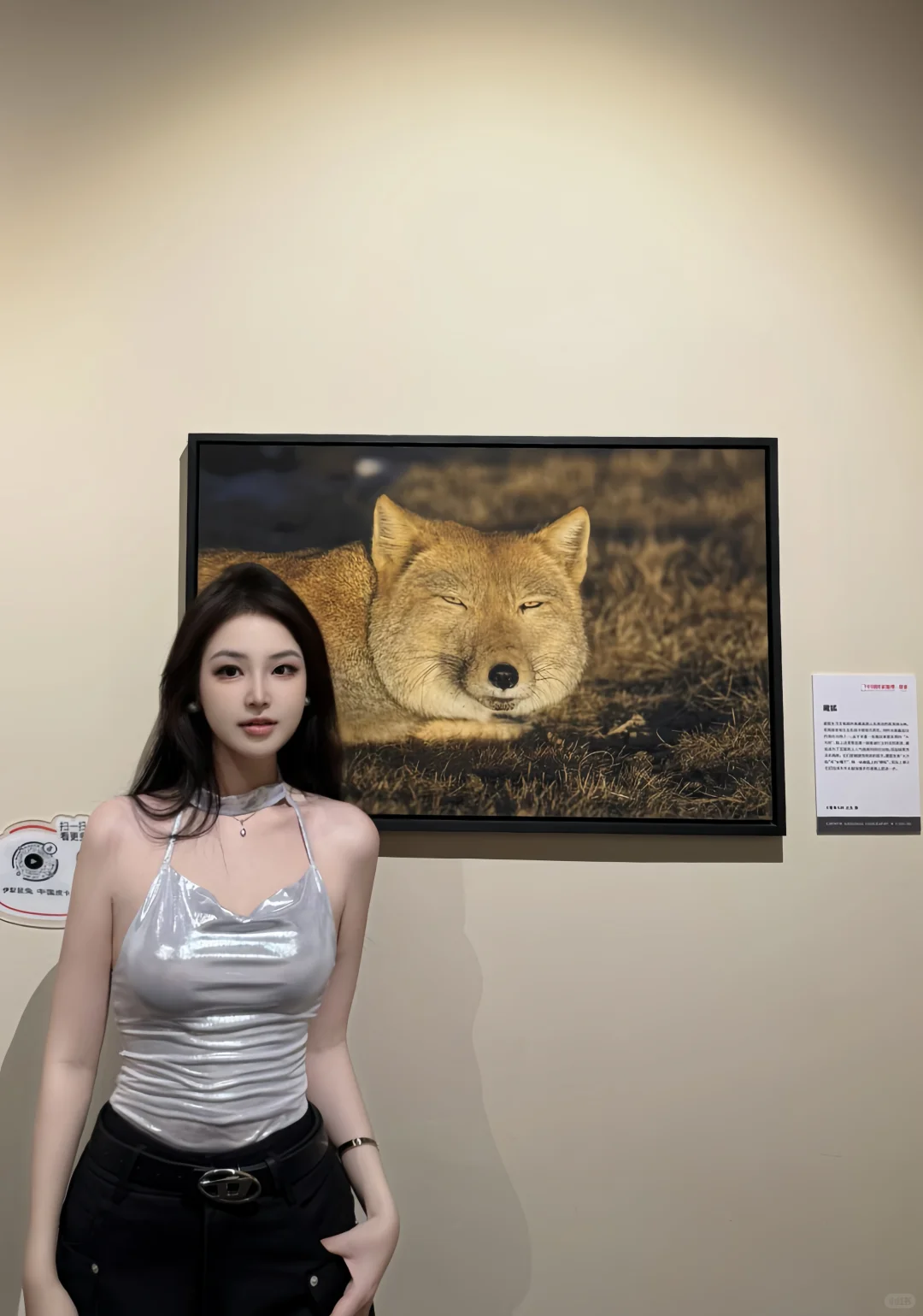 那些我没去过的地方，中国国家地理替我去了✨