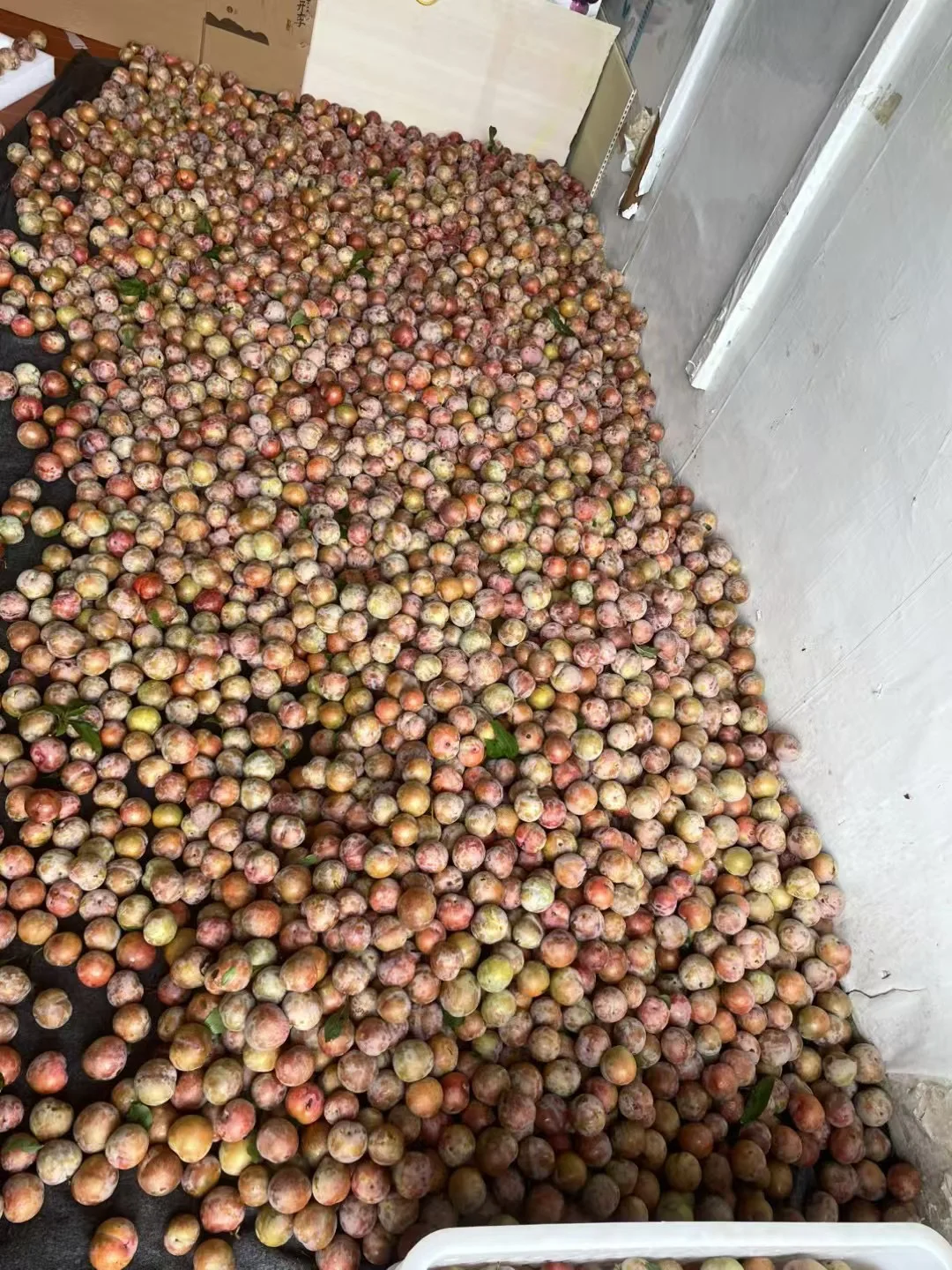 社区团购团长招募